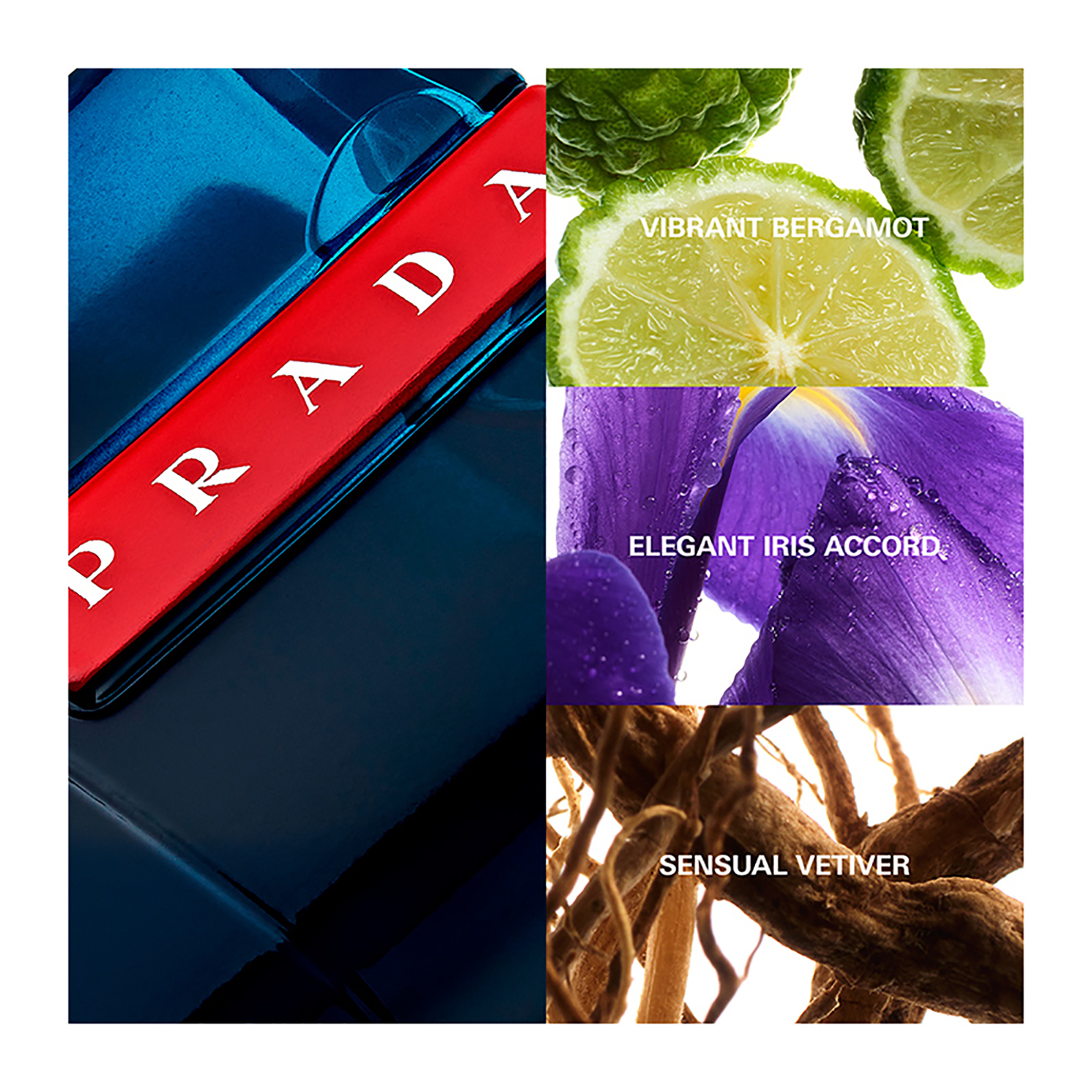 Prada Luna Rossa Ocean Eau de Toilette - 3614273556637 φωτογραφία