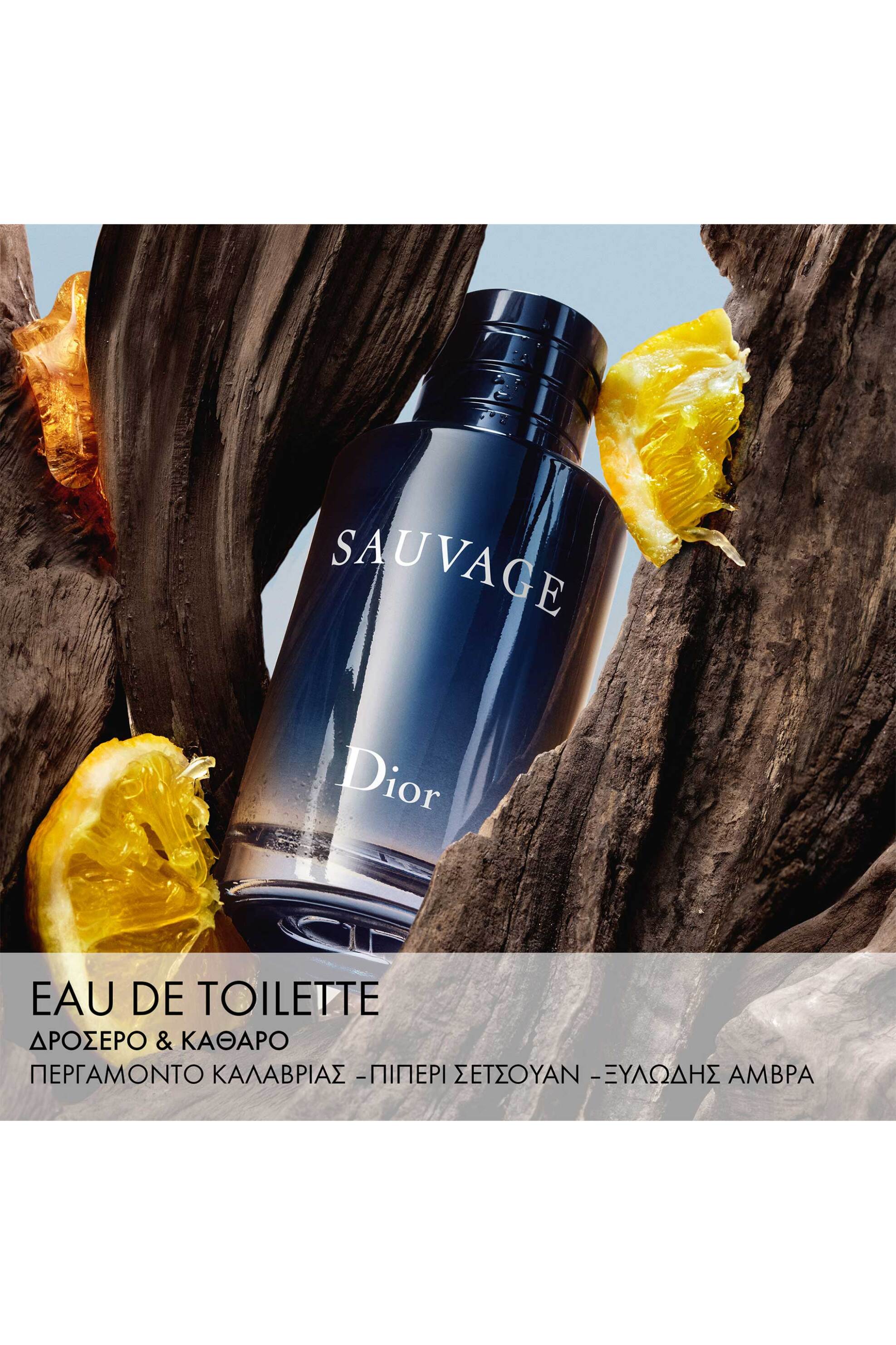 Dior Sauvage Eau de Toilette - F068524009 φωτογραφία