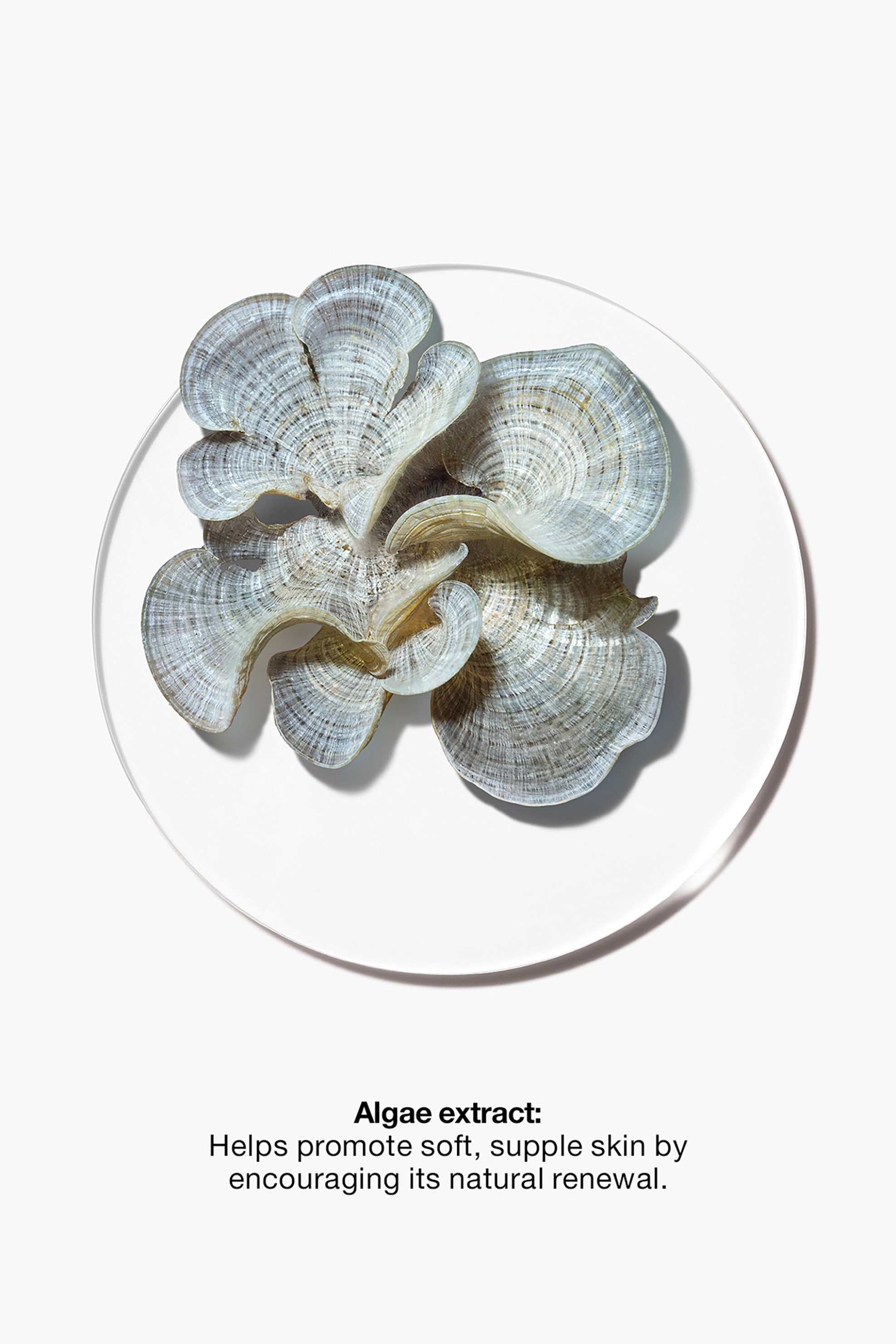 Clinique Clarifying Do Over Peel 30 ml - V48M010000 φωτογραφία