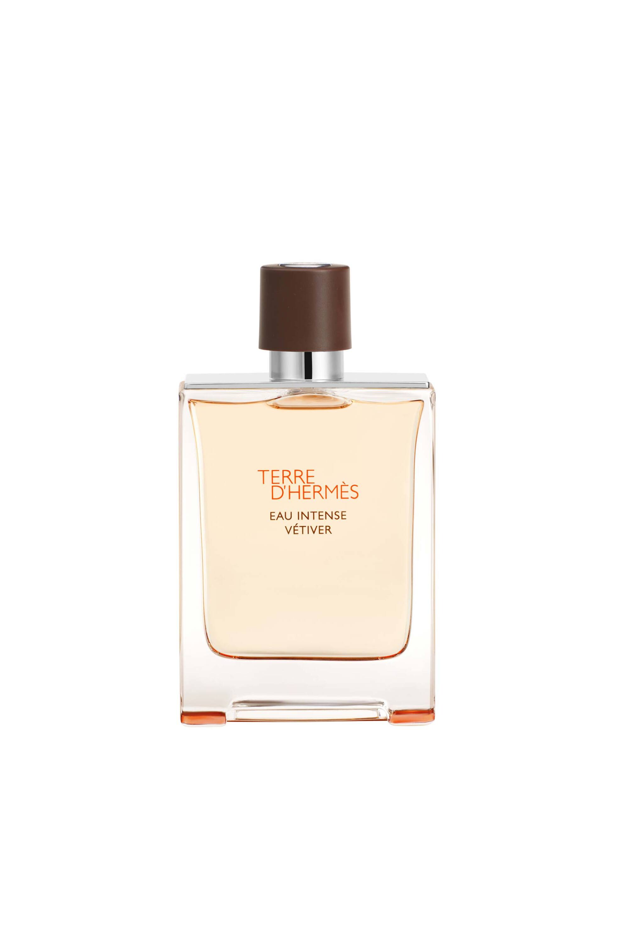 HERMÈS Hermès Terre d'Hermès Eau Intense Vétiver Eau de Parfum - 40946