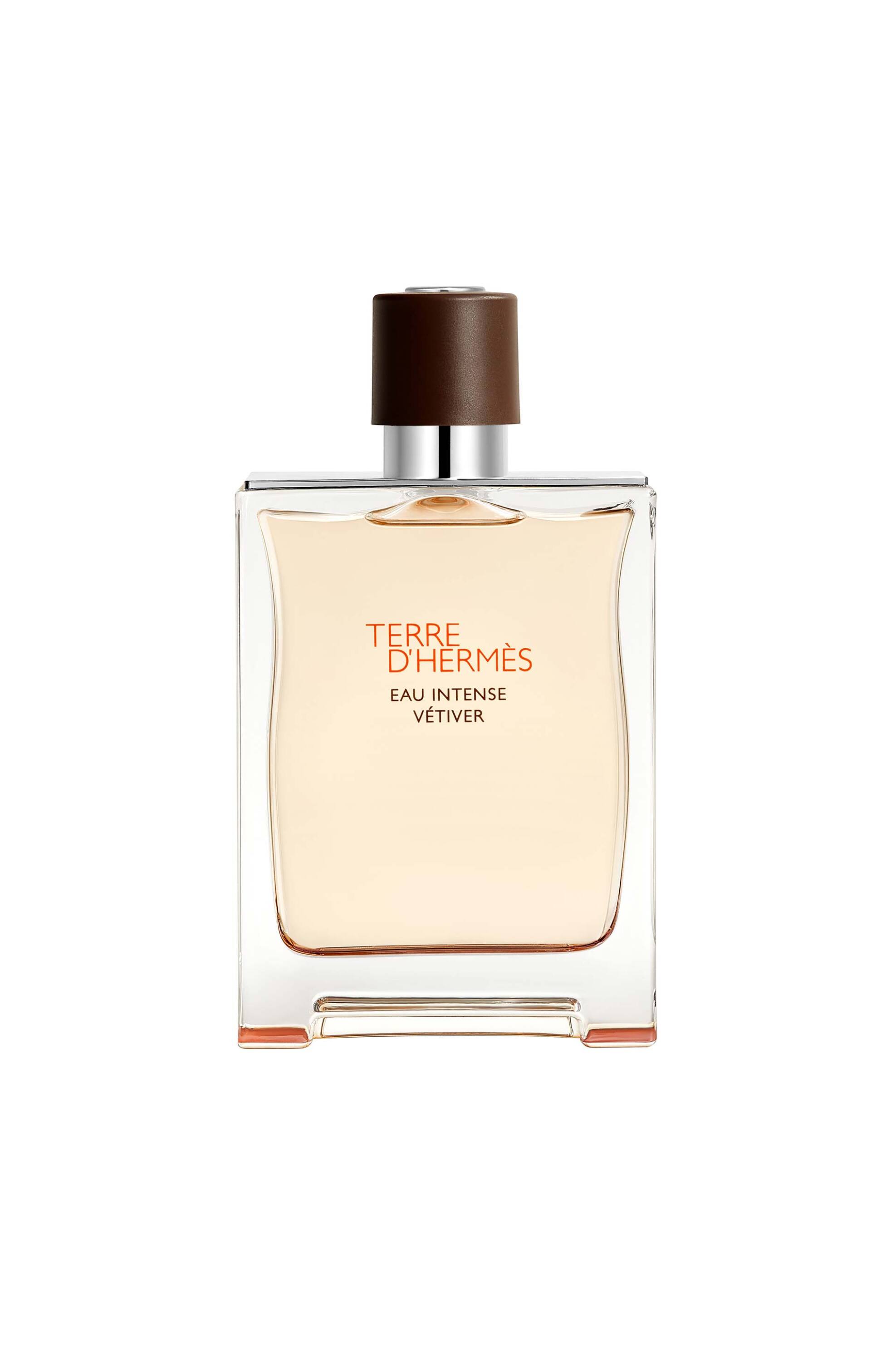 Hermès Terre d'Hermès Eau Intense Vétiver Eau de Parfum - 100057V0