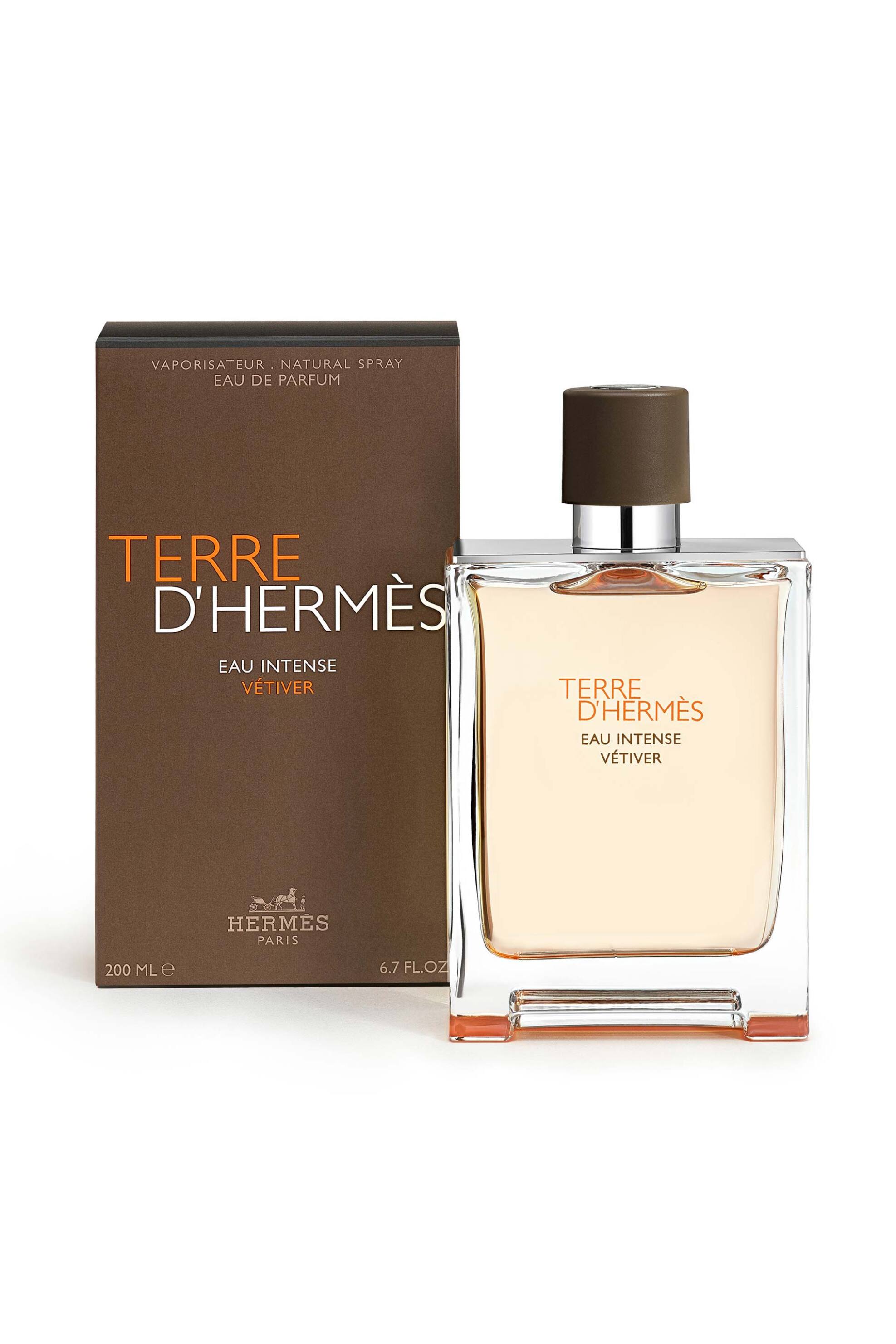 Hermès Terre d'Hermès Eau Intense Vétiver Eau de Parfum - 100057V0 φωτογραφία