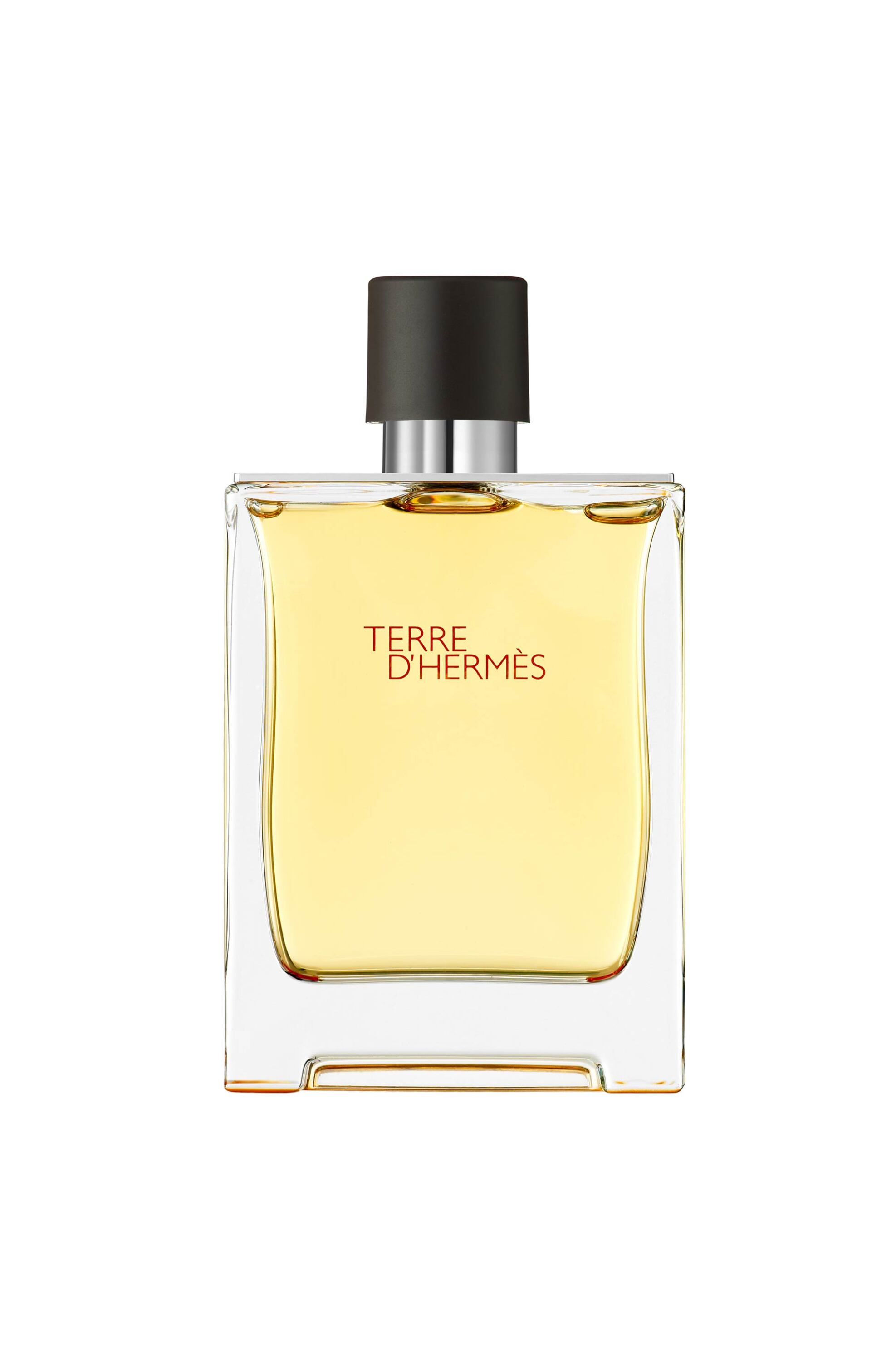 Hermès Terre d'Hermès Parfum - 107758V0