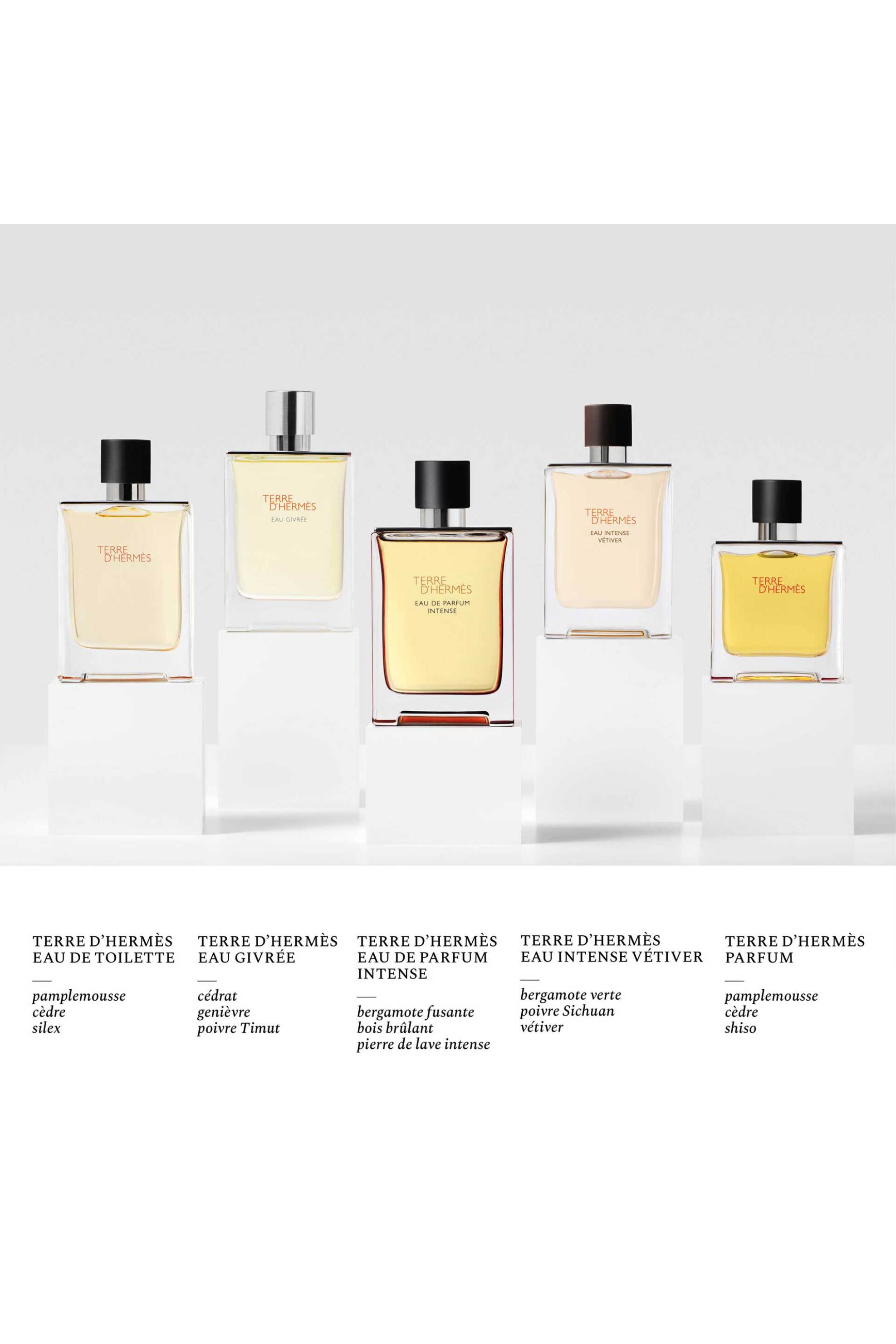 Hermès Terre d'Hermès Eau de Toilette Βαποριζατέρ Ταξιδιού 30 ml - 107200V0 φωτογραφία