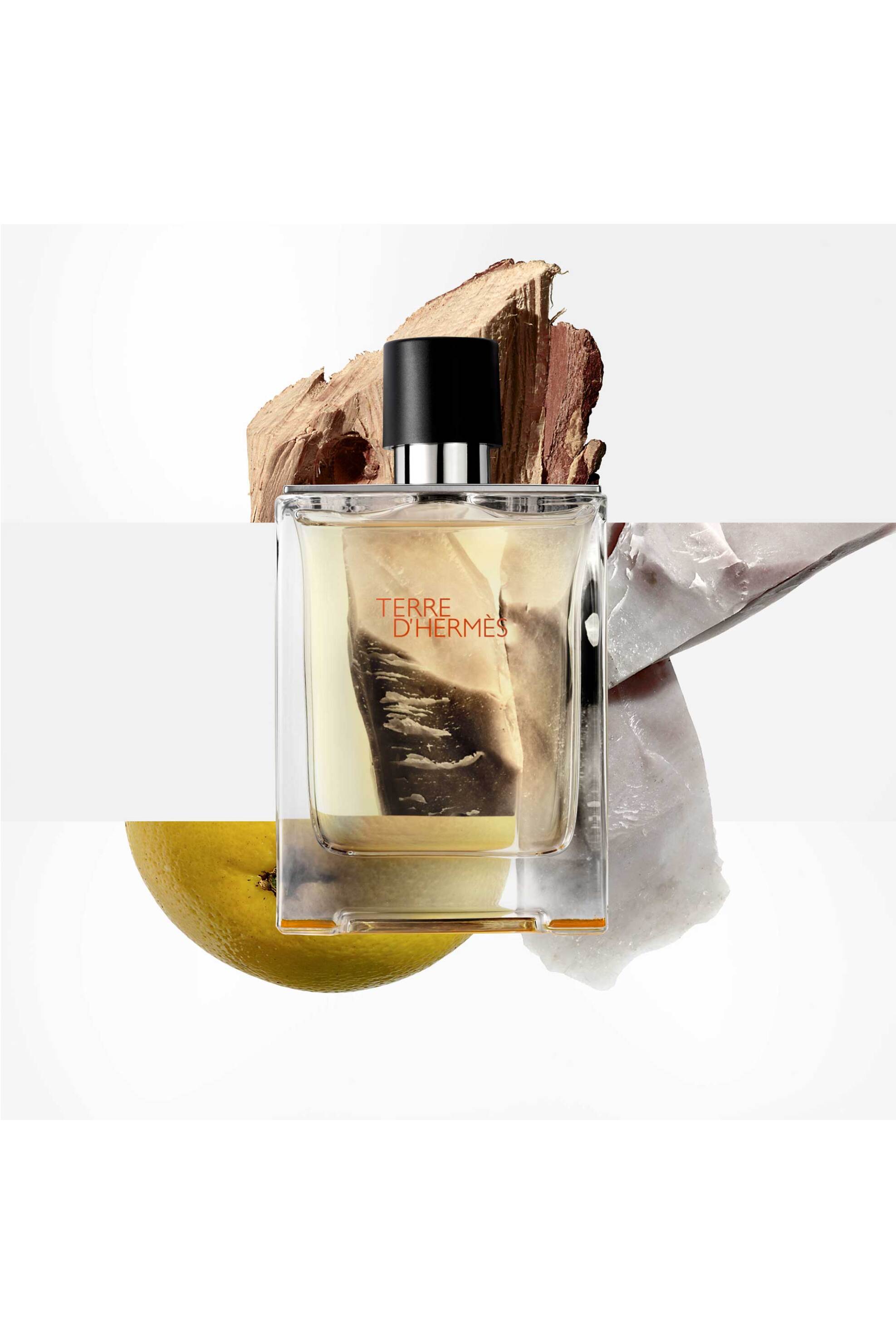 Hermès Terre d'Hermès Eau de Τoilette Ανταλλακτικό 125 ml - 107196V0 φωτογραφία