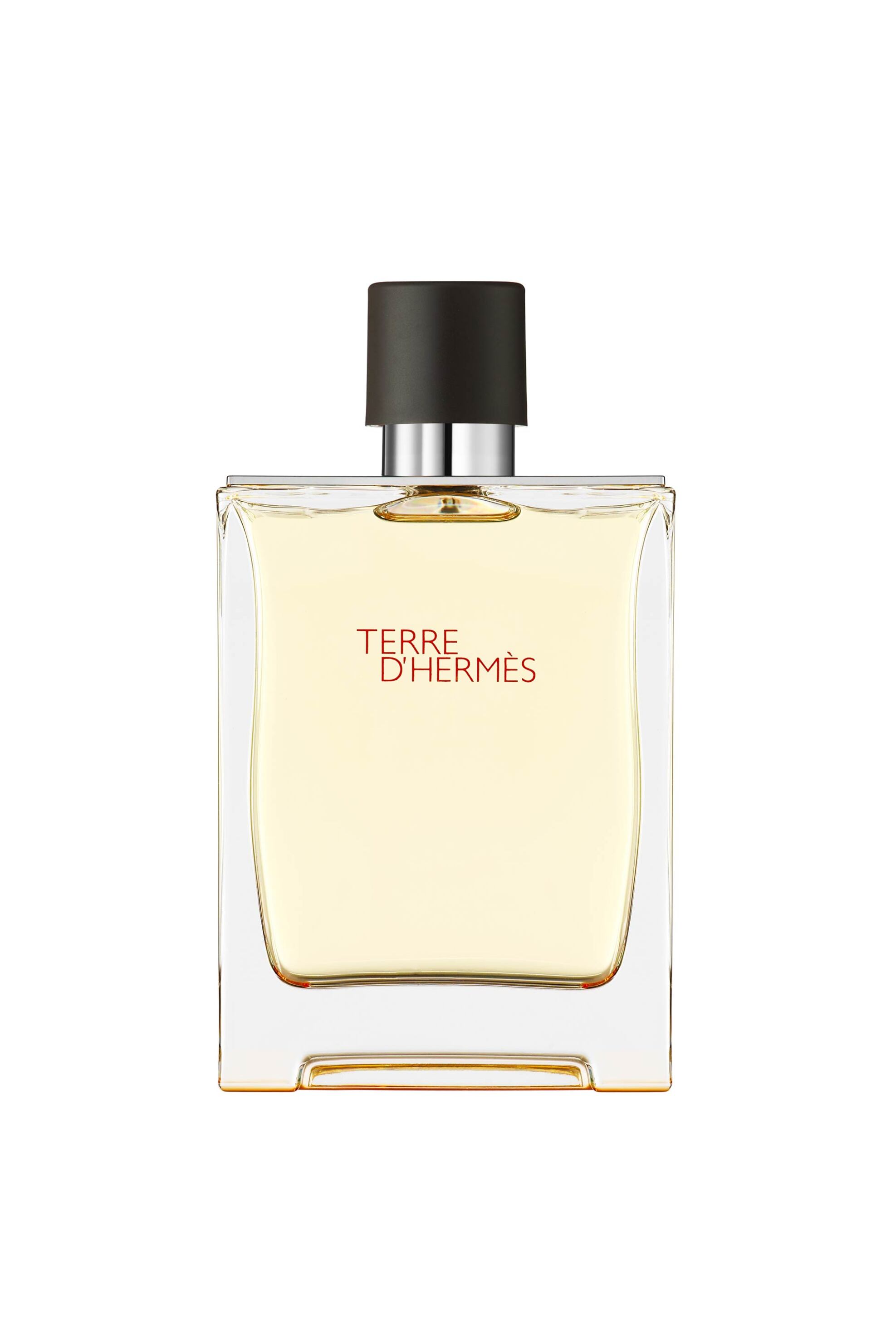 Hermès Terre d'Hermès Eau de Toilette - 107748V0