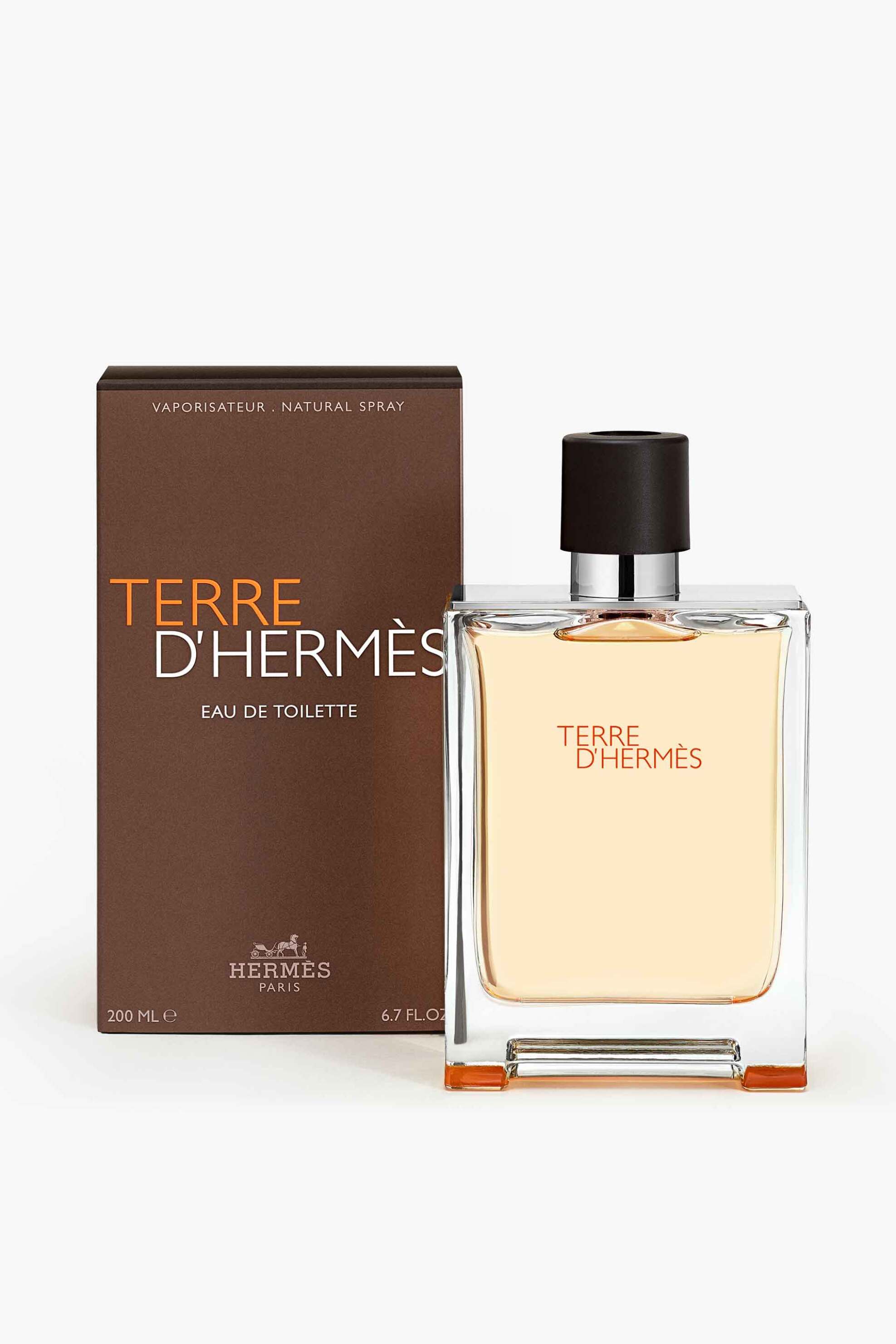 Hermès Terre d'Hermès Eau de Toilette - 107748V0 φωτογραφία