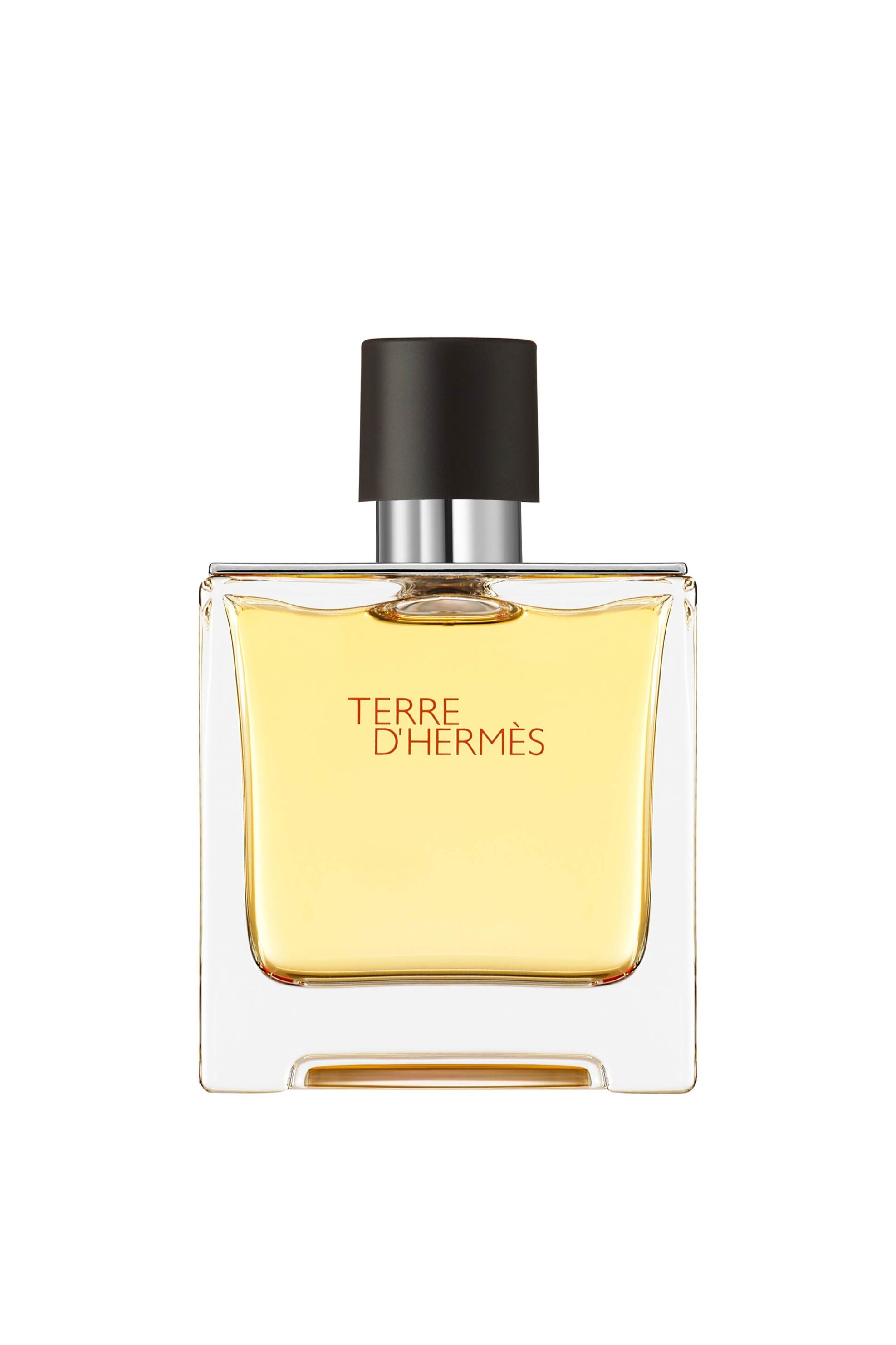 Hermès Terre d'Hermès Parfum - 107757V0