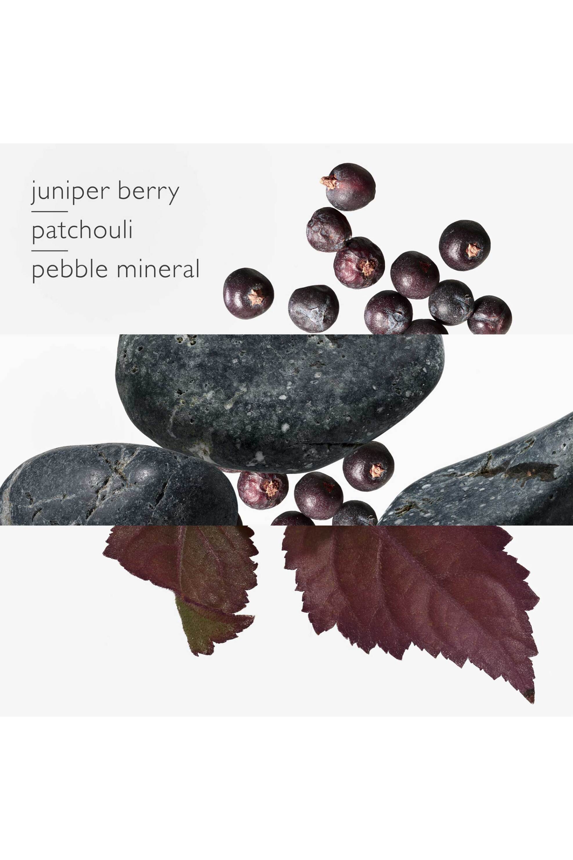 Hermès Eau des Merveilles Bleue Eau de Toilette 50 ml - 107178V0 φωτογραφία