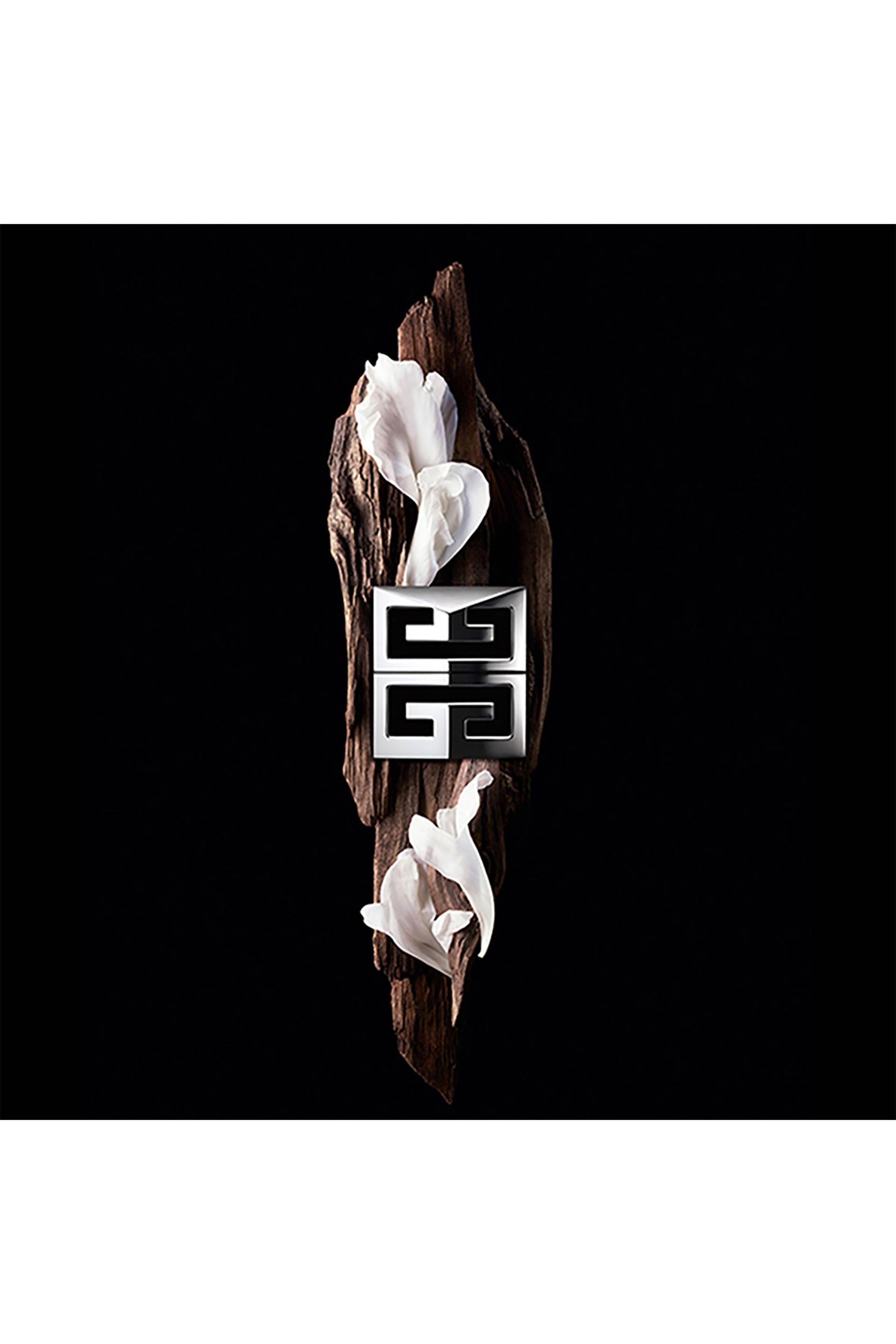 Givenchy Gentleman Society Eau de Parfum - P011240 φωτογραφία