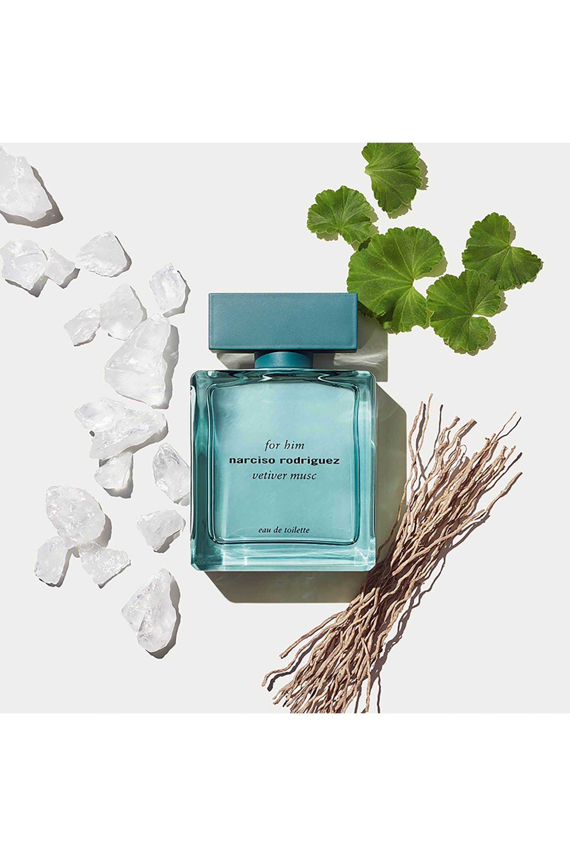 Narciso Rodriguez For Him Vetiver Musc Eau de Toilette Vapo φωτογραφία