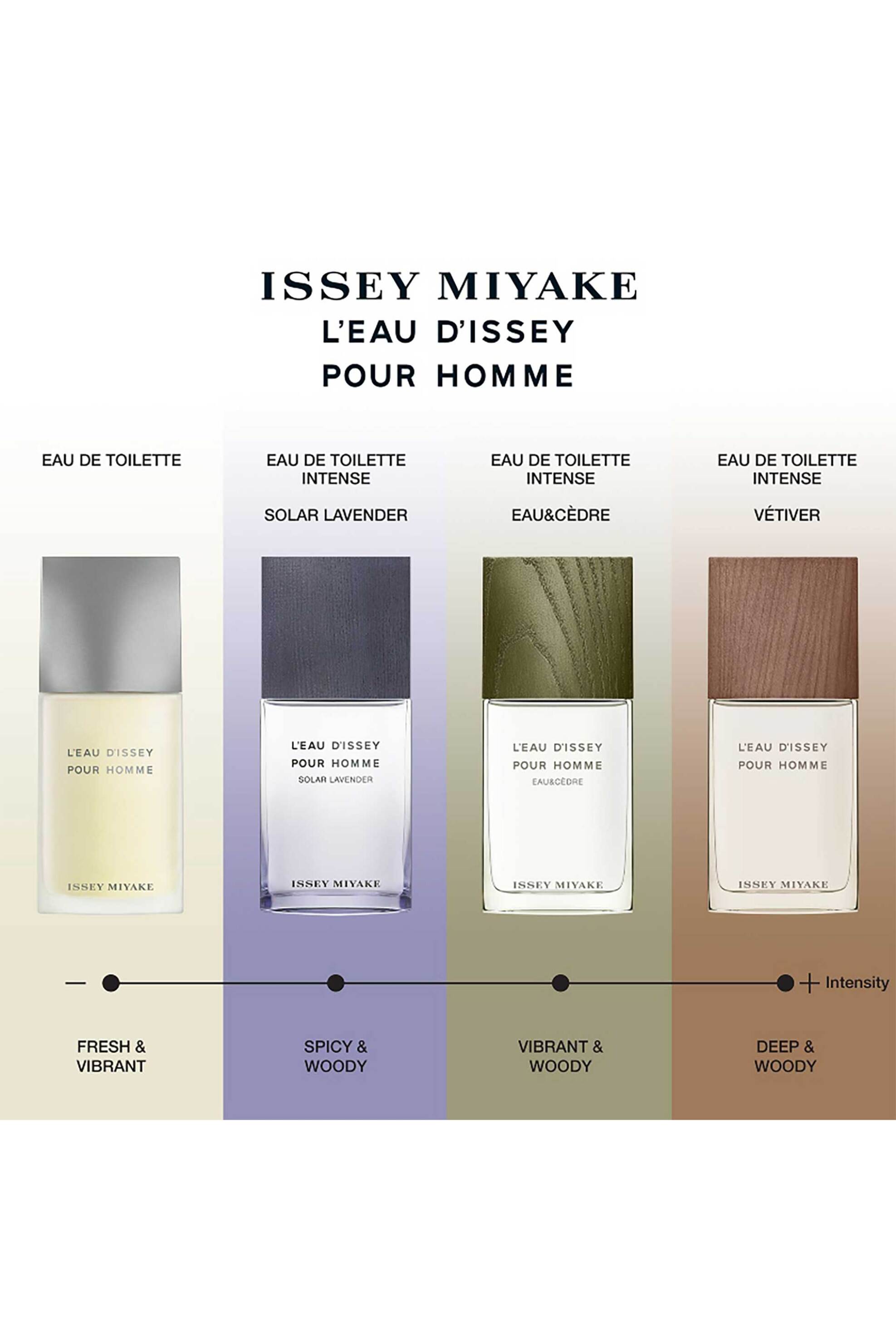 Issey Miyake L'Eau D'Issey Pour Homme Solar Lavender Eau de Toilette Vapo - 31800533 φωτογραφία
