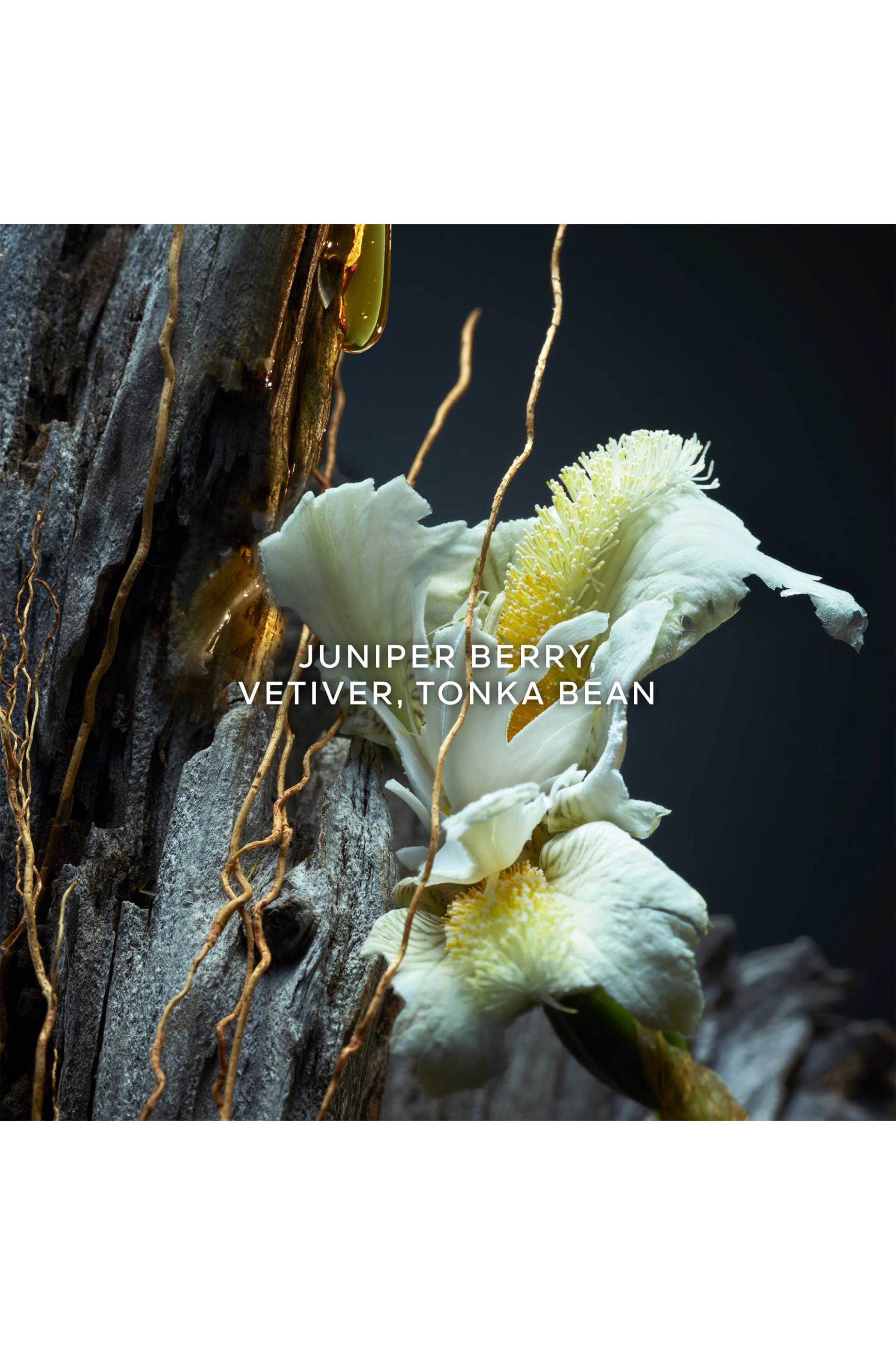 Guerlain Vétiver Le Parfum Eau de Parfum 100 ml - G030523 φωτογραφία