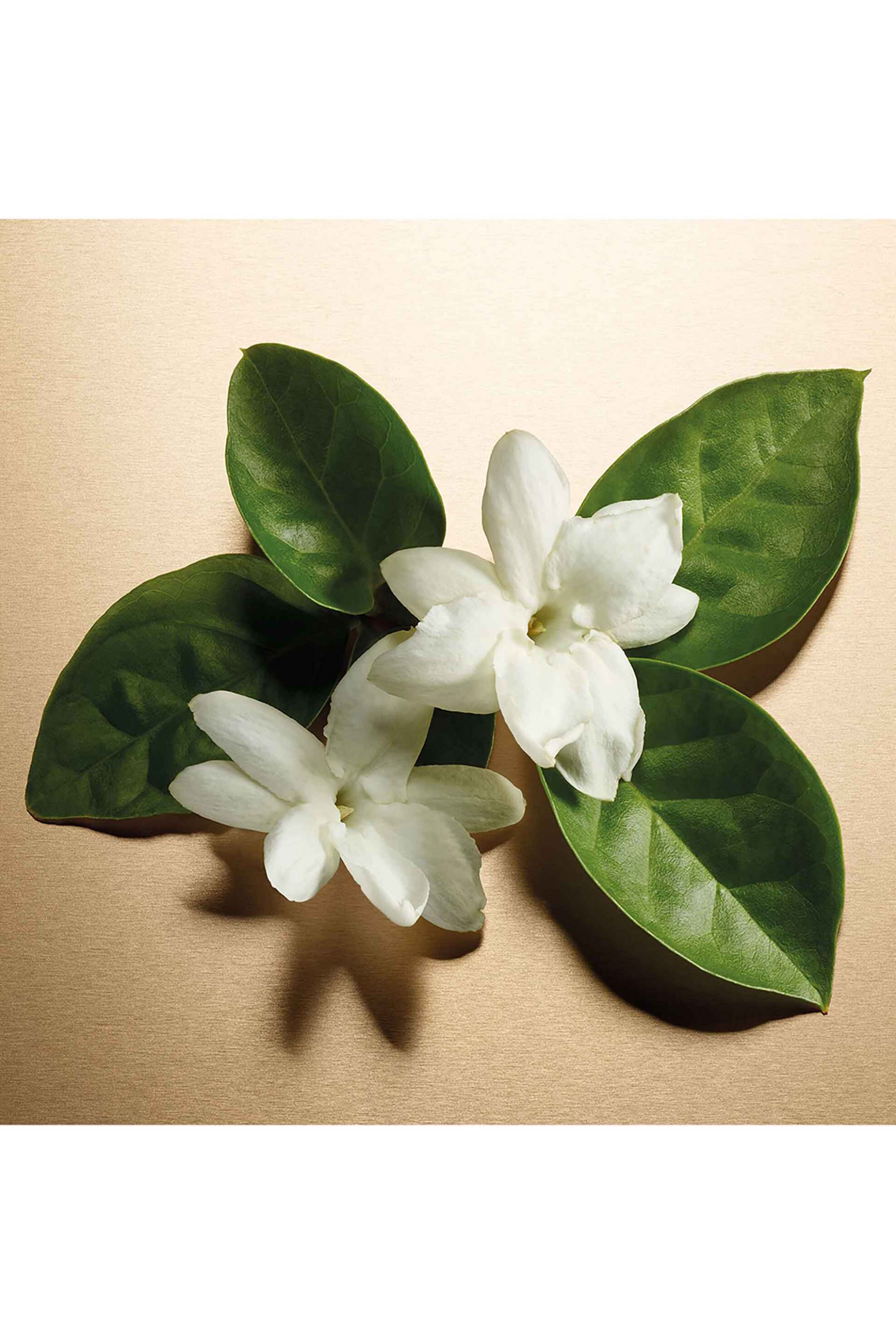 Michael Kors Pour Femme Eau de Parfum - 450428 φωτογραφία