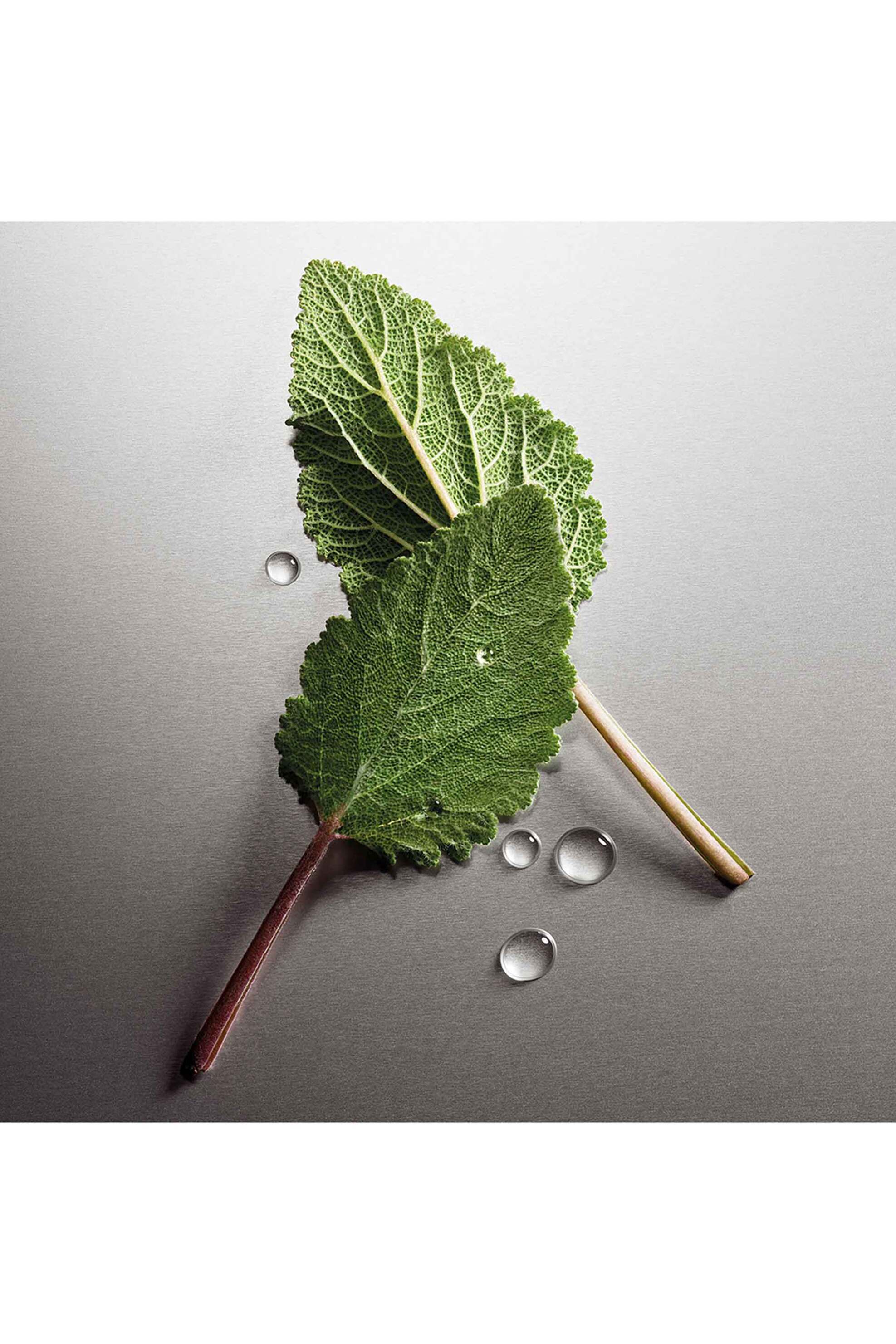 Michael Kors Pour Homme Eau de Parfum - 450307 φωτογραφία