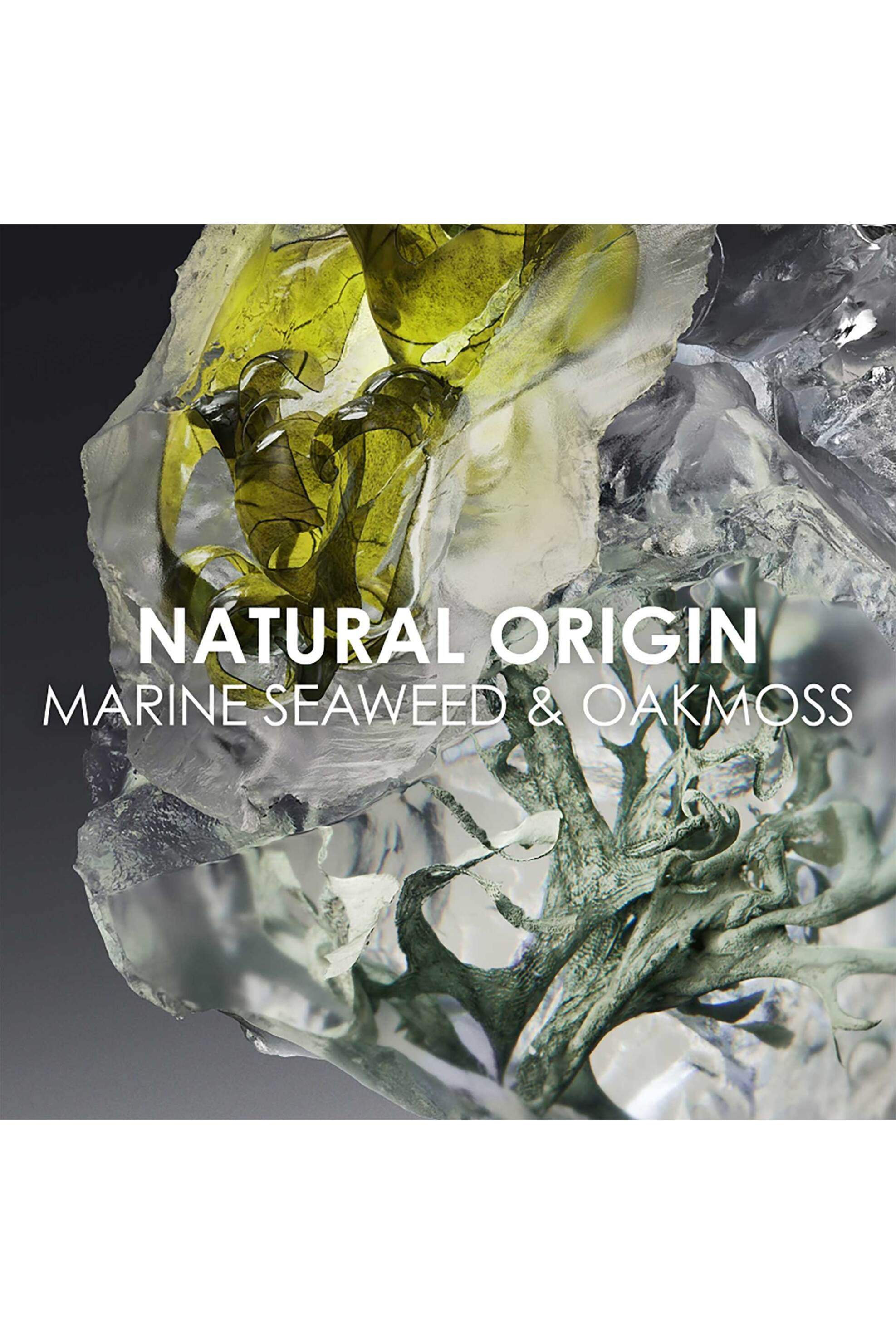 Issey Miyake Le Sel d'Issey Eau de Toilette Refillable - 31800543 φωτογραφία