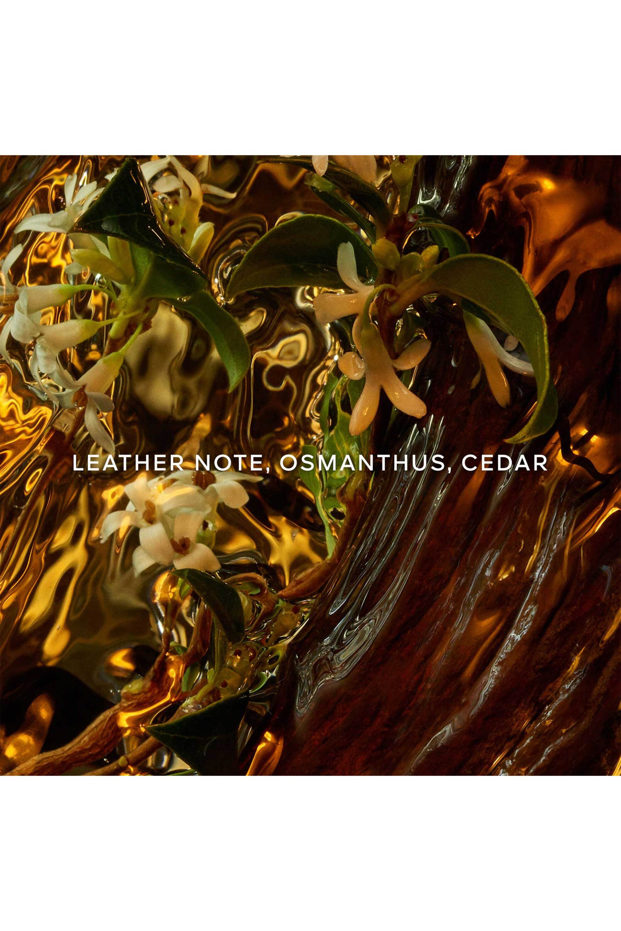 Guerlain Absolus Allegoria Cuir Intense Eau de Parfum 125 ml - G014832 φωτογραφία