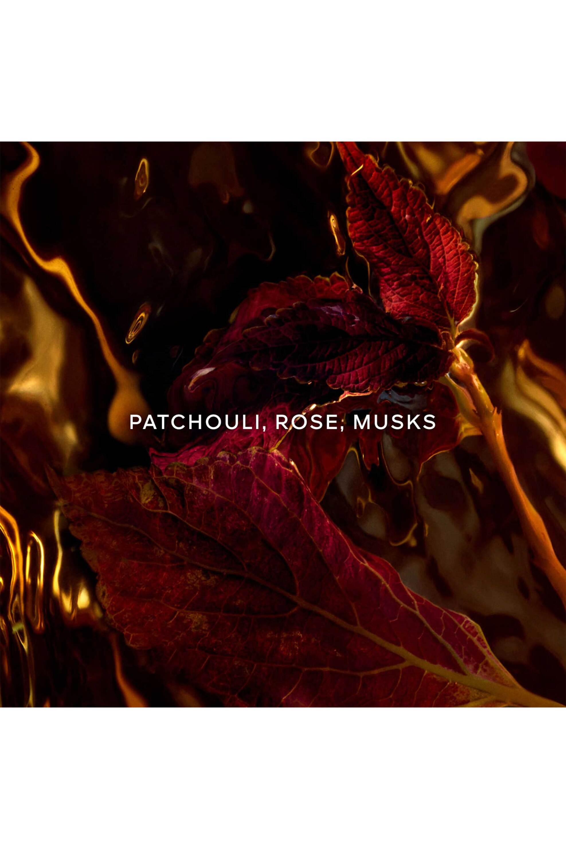 Guerlain Absolus Allegoria Patchouli Ardent Eau de Parfum 125 ml - G014834 φωτογραφία