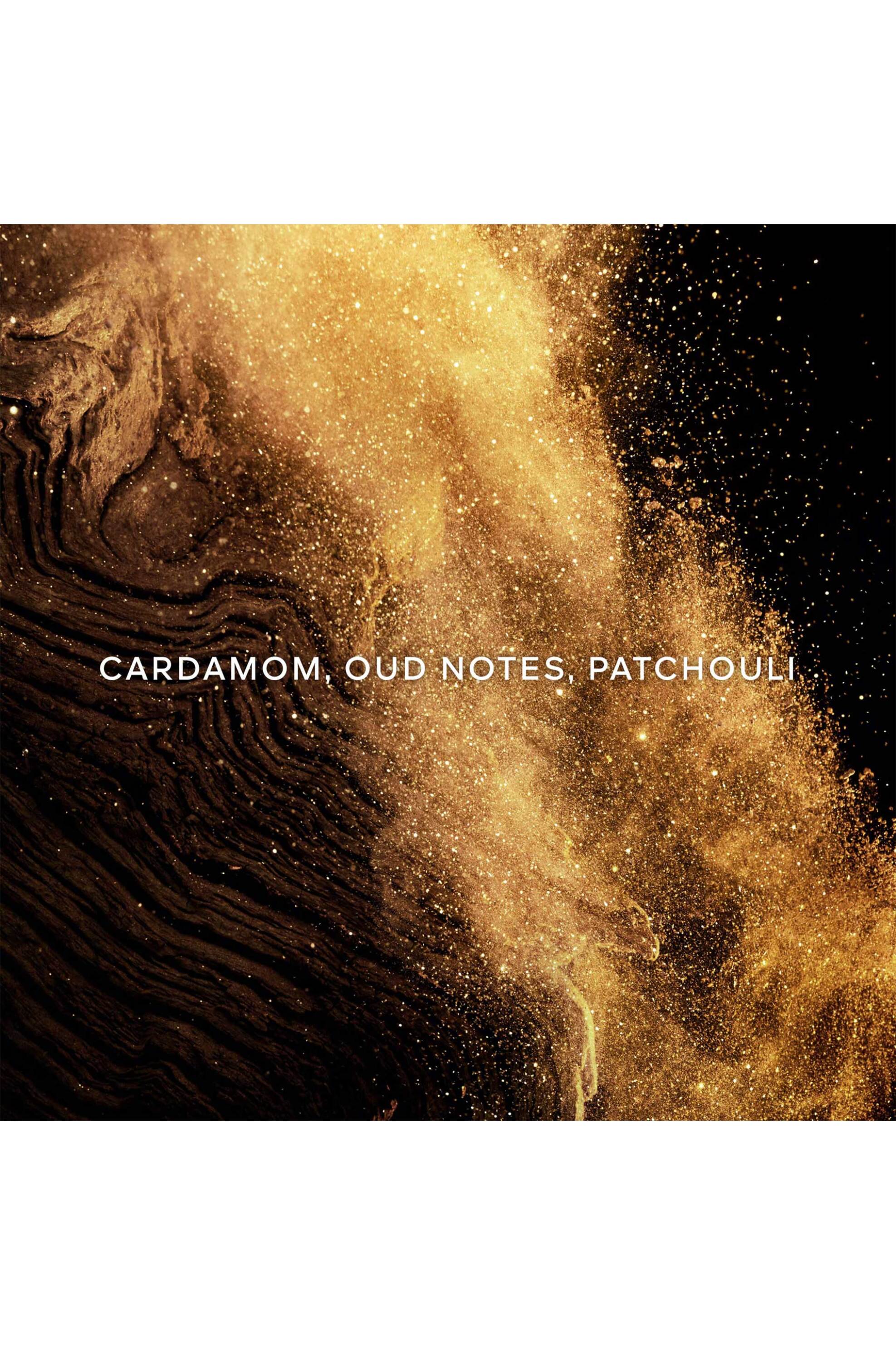 Guerlain Absolus Allegoria Epices Exquises Eau de Parfum 125 ml - G014837 φωτογραφία