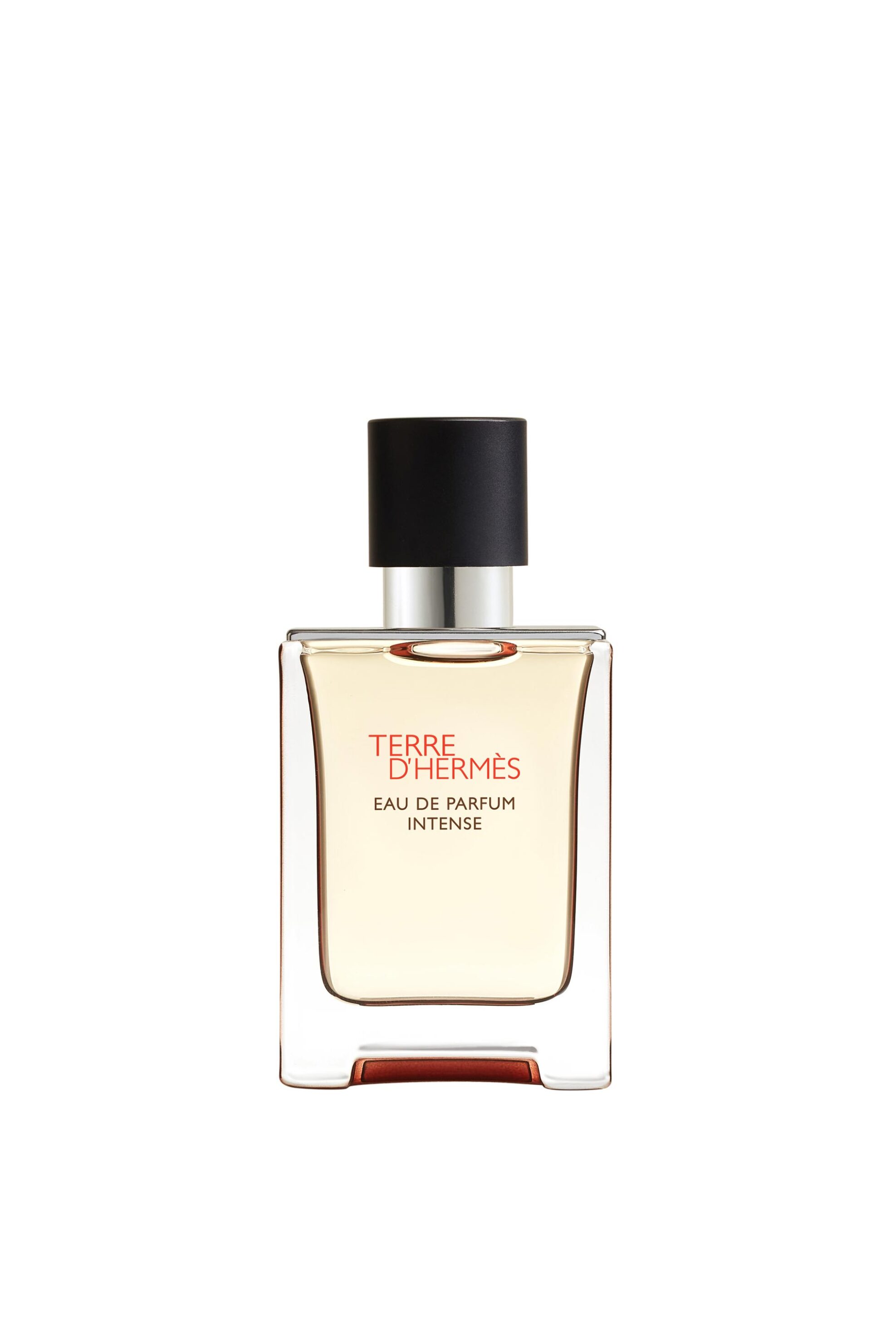 Hermès Terre d'Hermès Eau de Parfum Intense - 111230V0