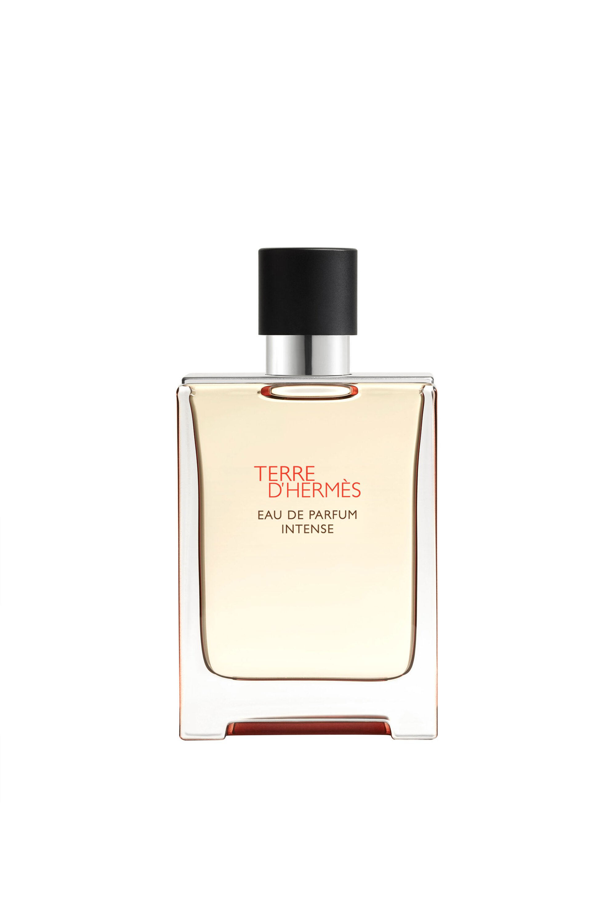 Hermès Terre d'Hermès Eau de Parfum Intense - 111230V0