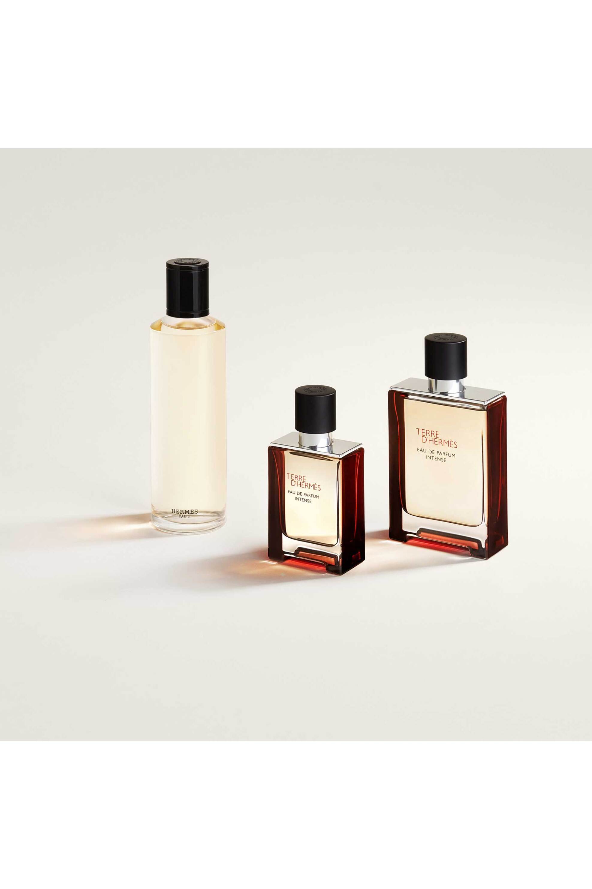 Hermès Terre d'Hermès Eau de Parfum Intense Ανταλλακτικό 200 ml - 115461V0 φωτογραφία