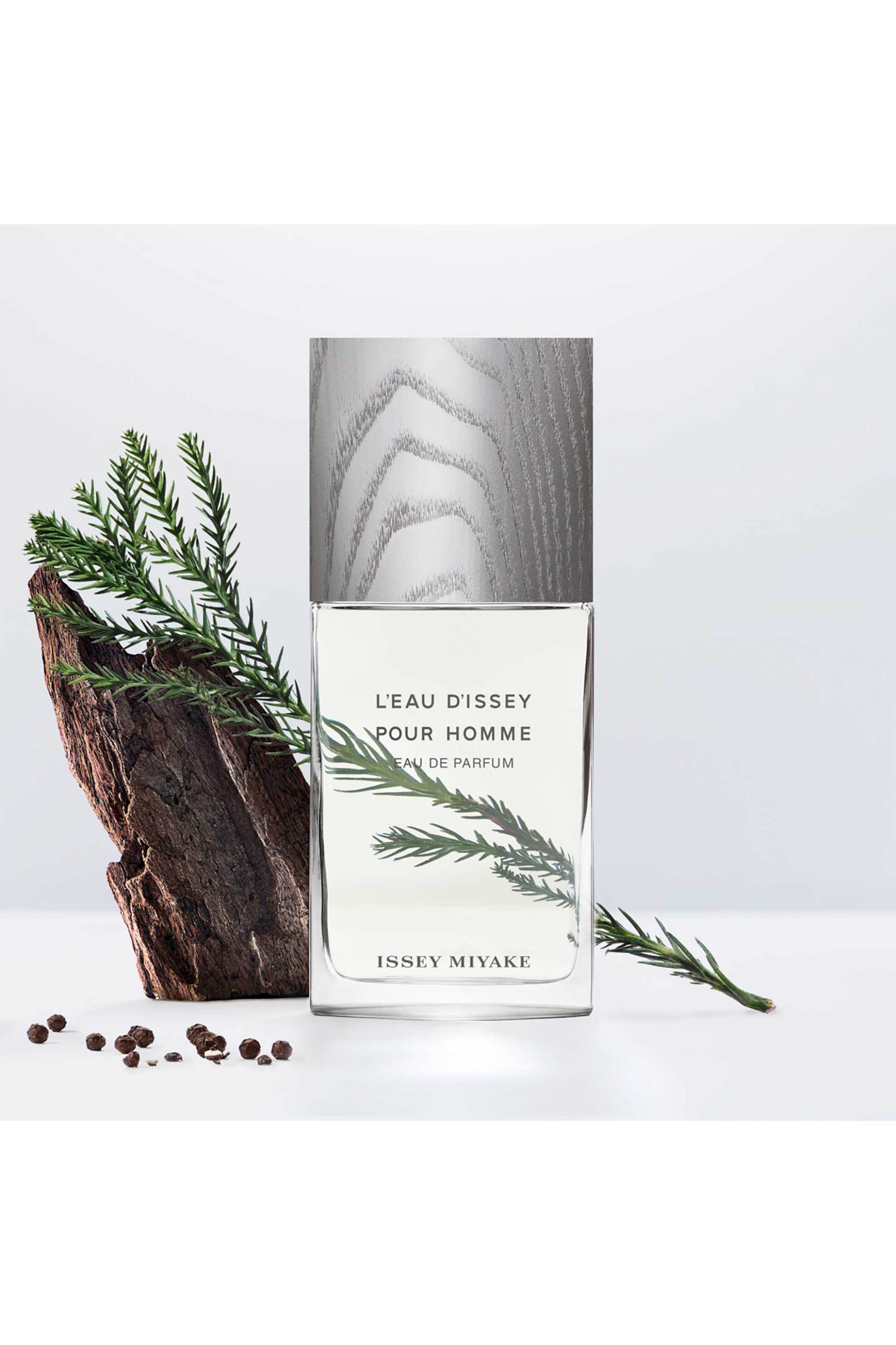 Issey Miyake L'Eau D'Issey Pour Homme Eau de Parfum Vapo - 31800730 φωτογραφία