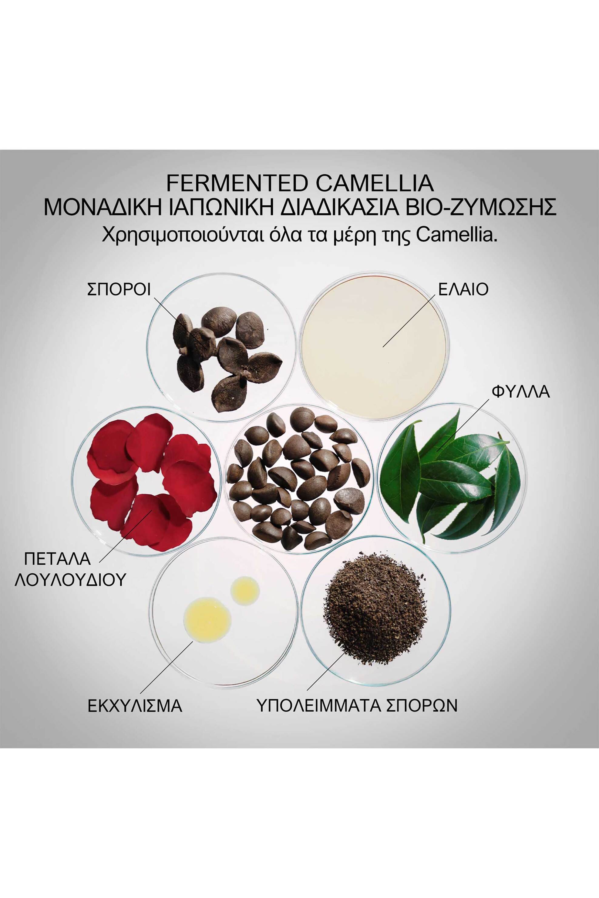 Shiseido Ultimune Power Infusing Serum - 22445 φωτογραφία