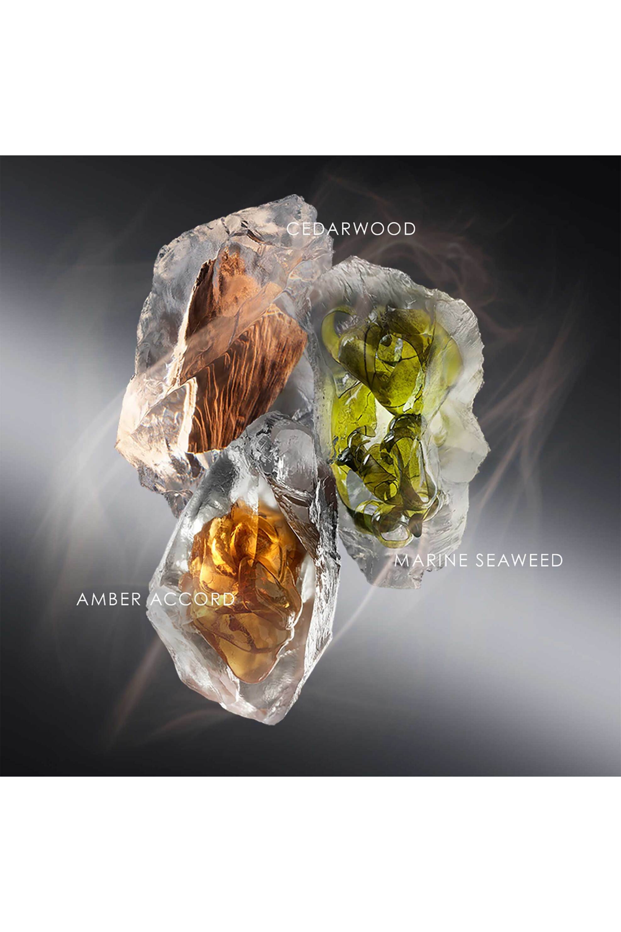 Issey Miyake Le Sel d'Issey Eau de Parfum - 31800676 φωτογραφία