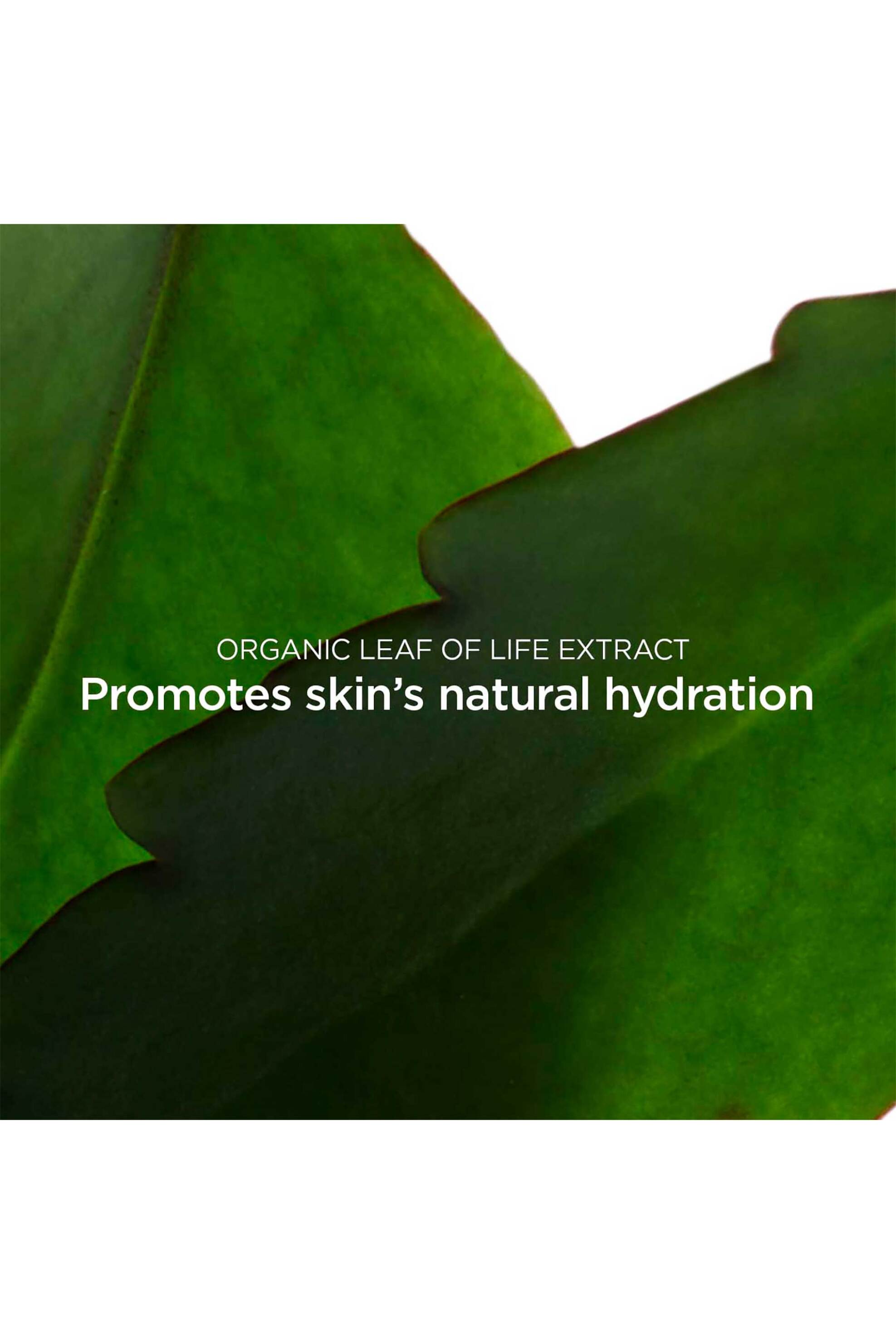 Clarins Fresh Scrub 50 ml - 80116276 φωτογραφία