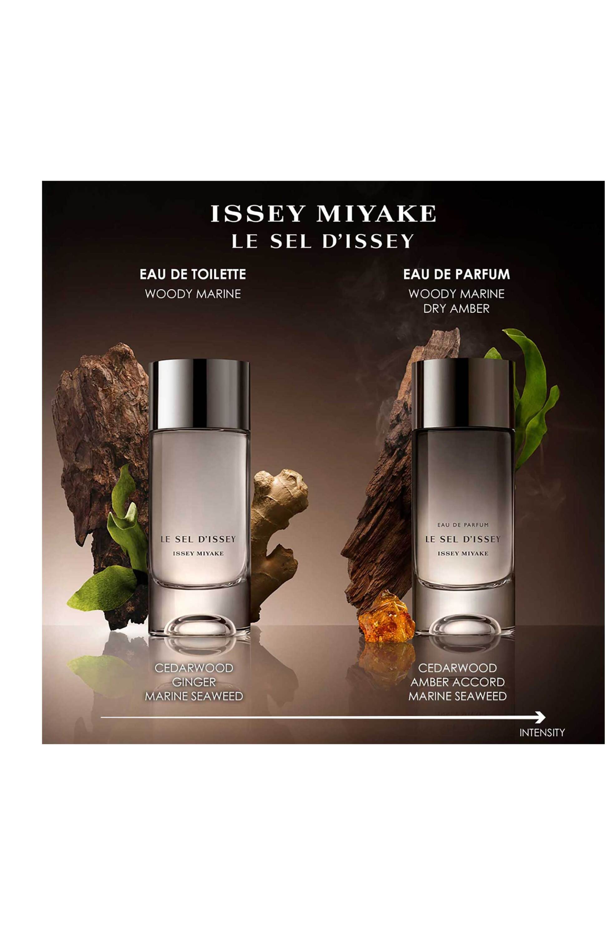 Issey Miyake Le Sel d'Issey Eau de Parfum 100 ml Gift Set - 31800886101 φωτογραφία