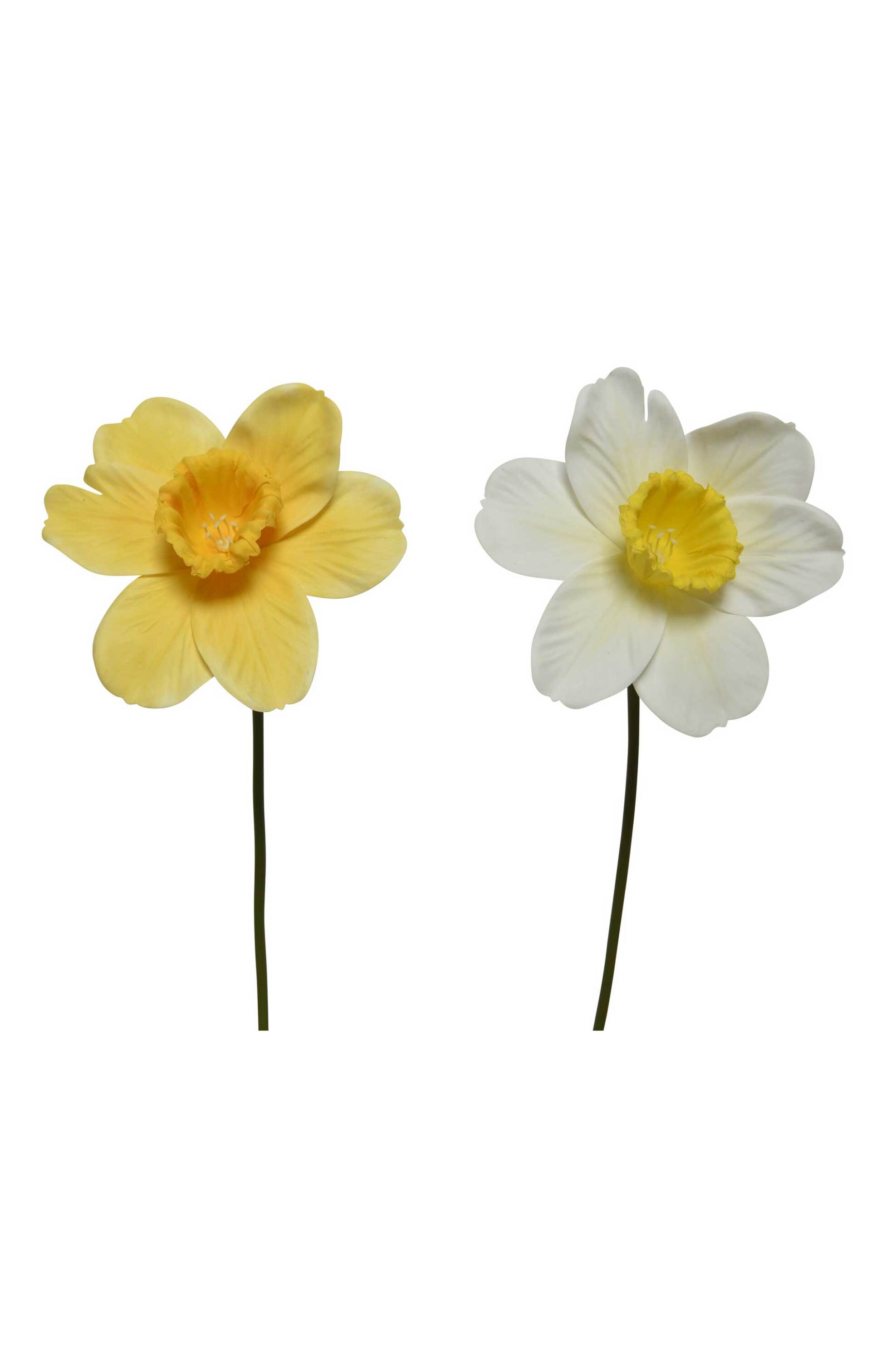Kaemingk διακοσμητικό λουλούδι narciscus - 801229
