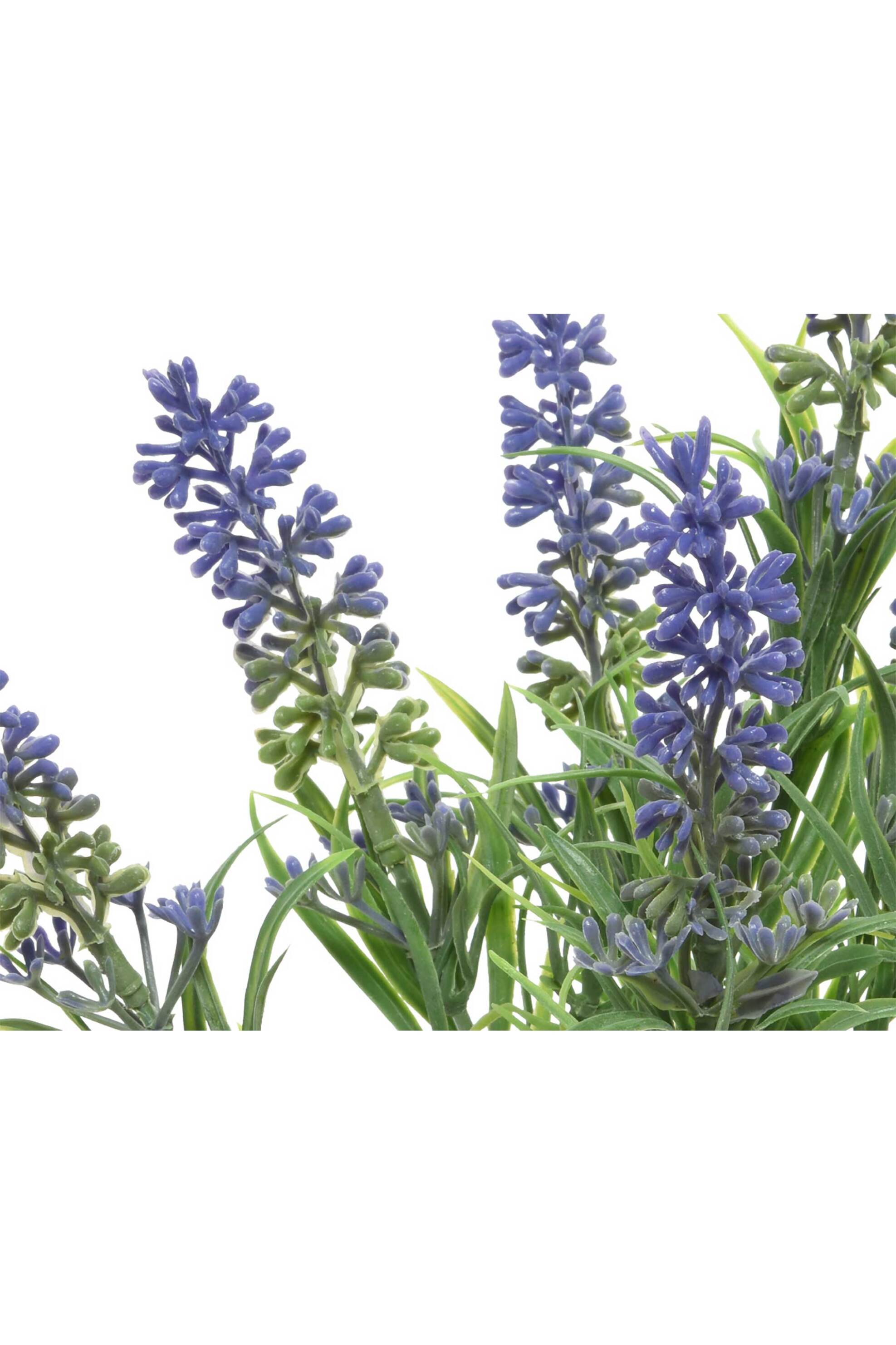 Kaemingk διακοσμητικό λουλούδι lavender - 804107 φωτογραφία
