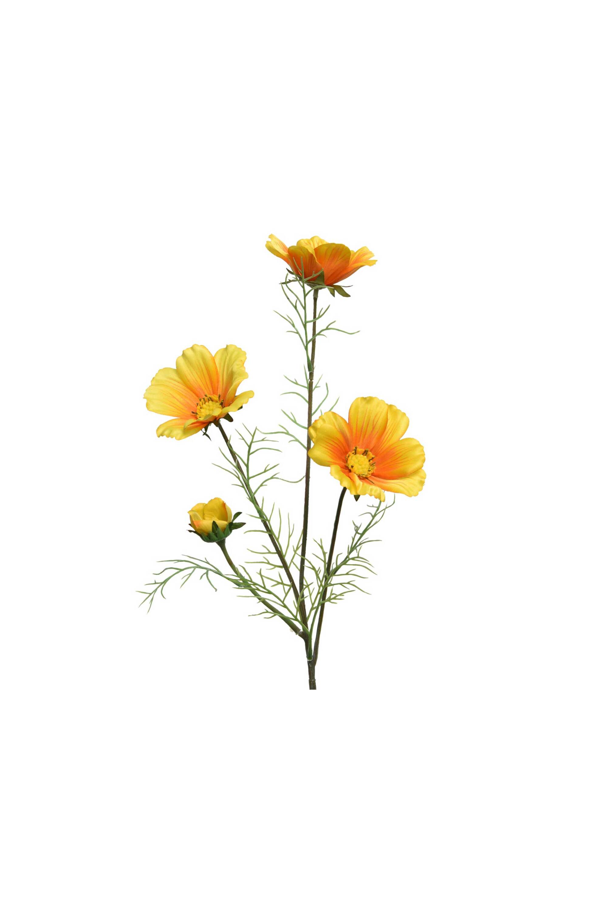 Kaemingk διακοσμητικό λουλούδι coreopsis - 800556