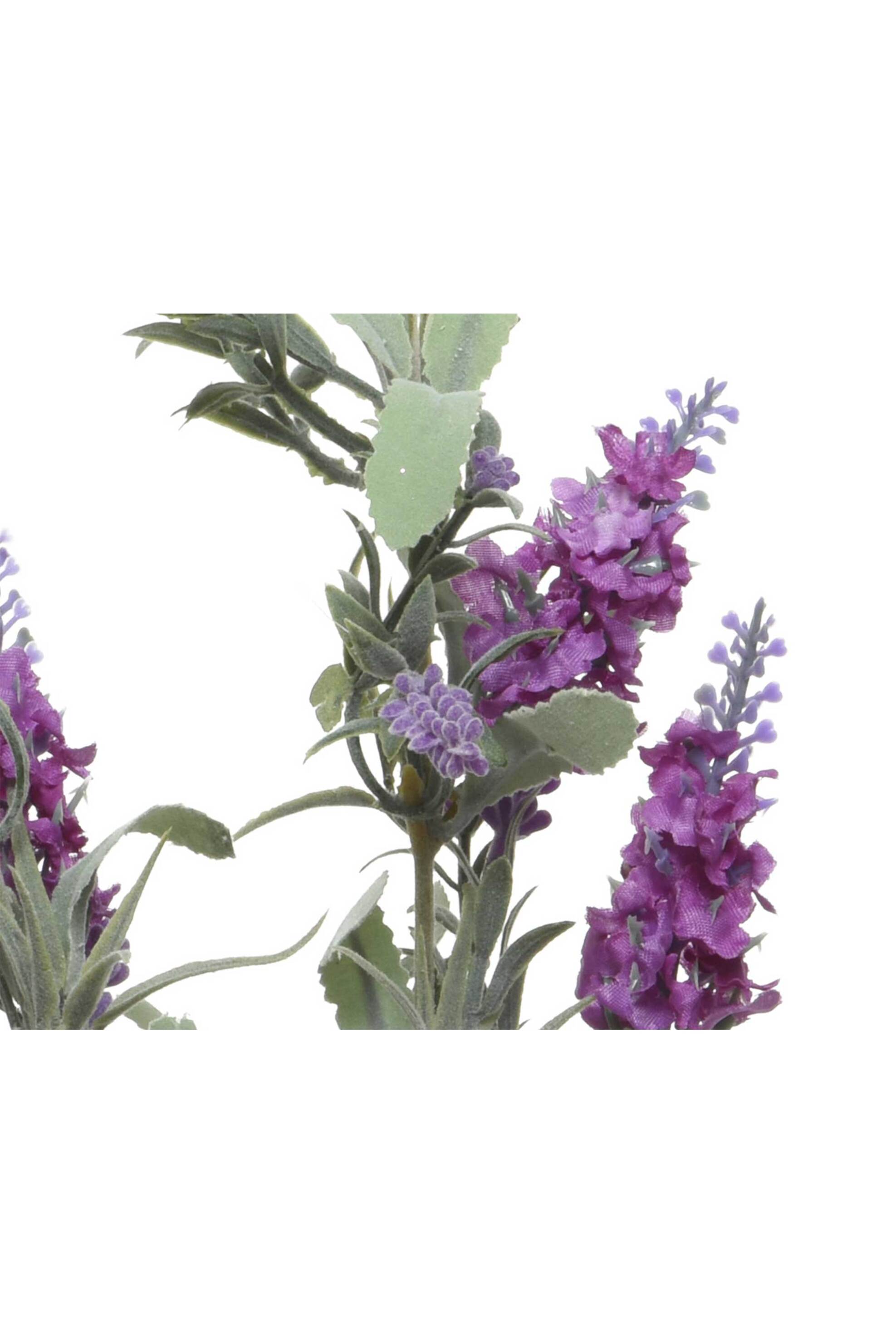 Kaemingk διακοσμητικό λουλούδι lavender - 801416 φωτογραφία