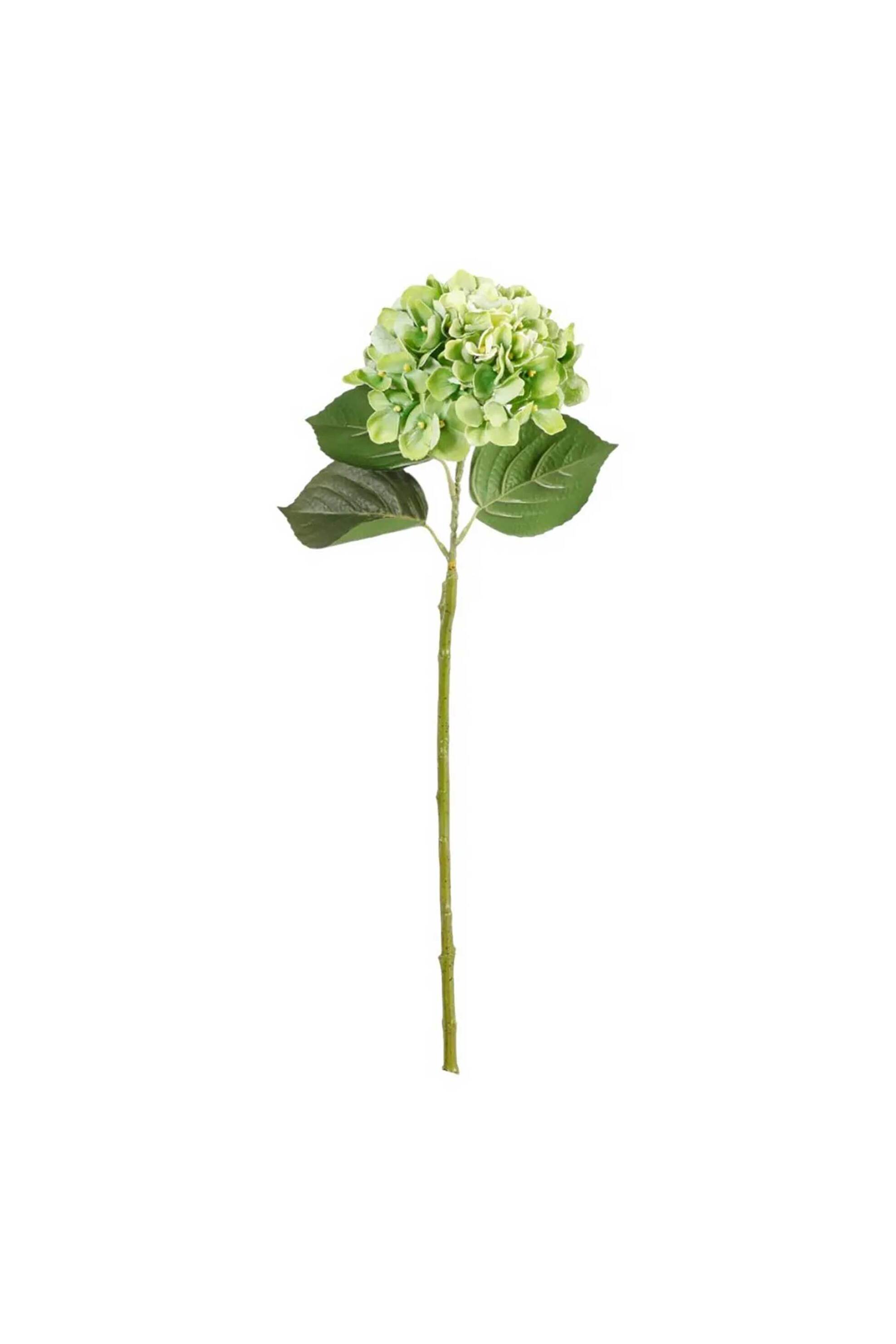 DOMUS HOMUS διακοσμητικό κλαδί ορτανσία πράσινο 82 cm - 20-32-215