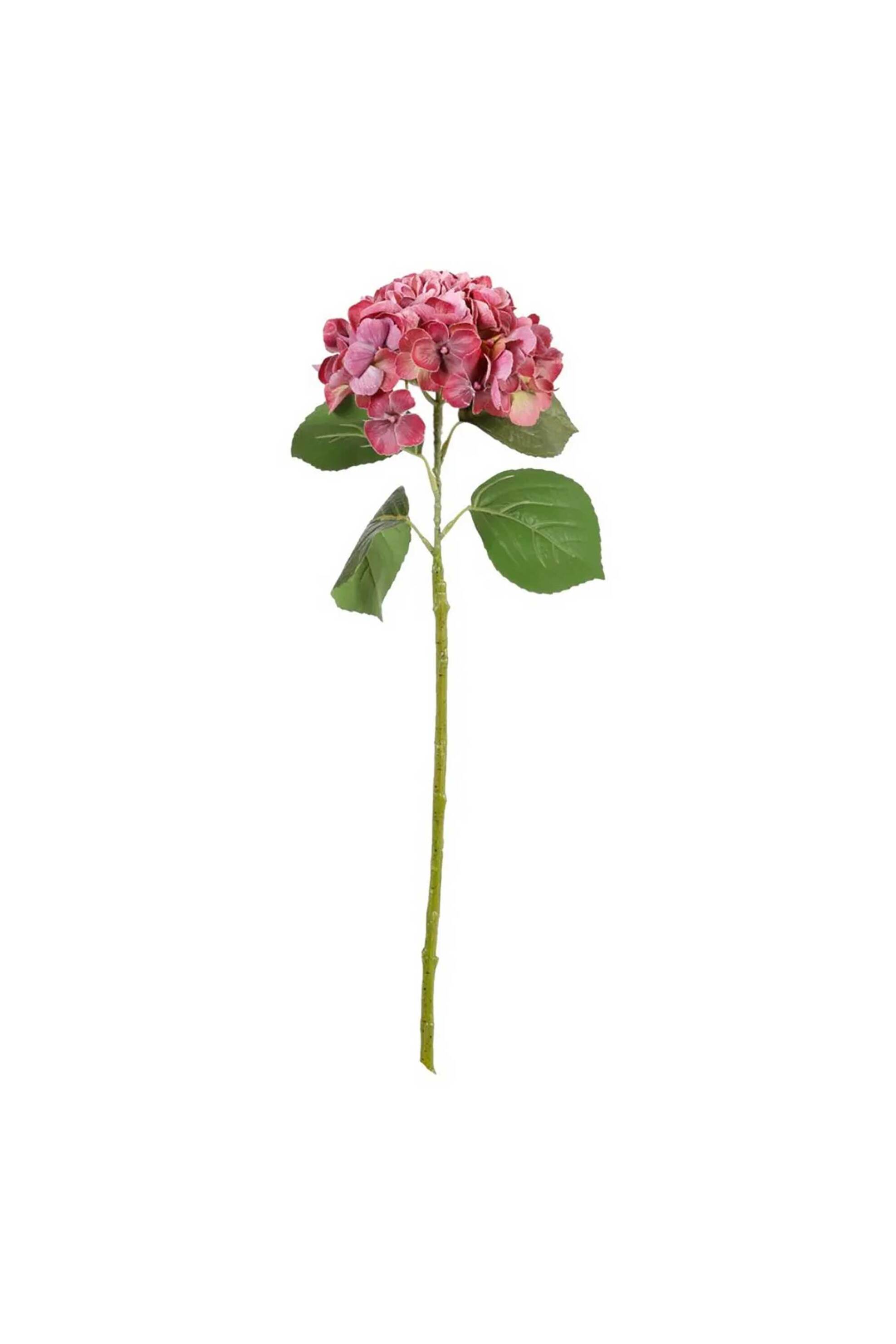 DOMUS HOMUS διακοσμητικό κλαδί ορτανσία φούξια 82 cm - 20-32-217