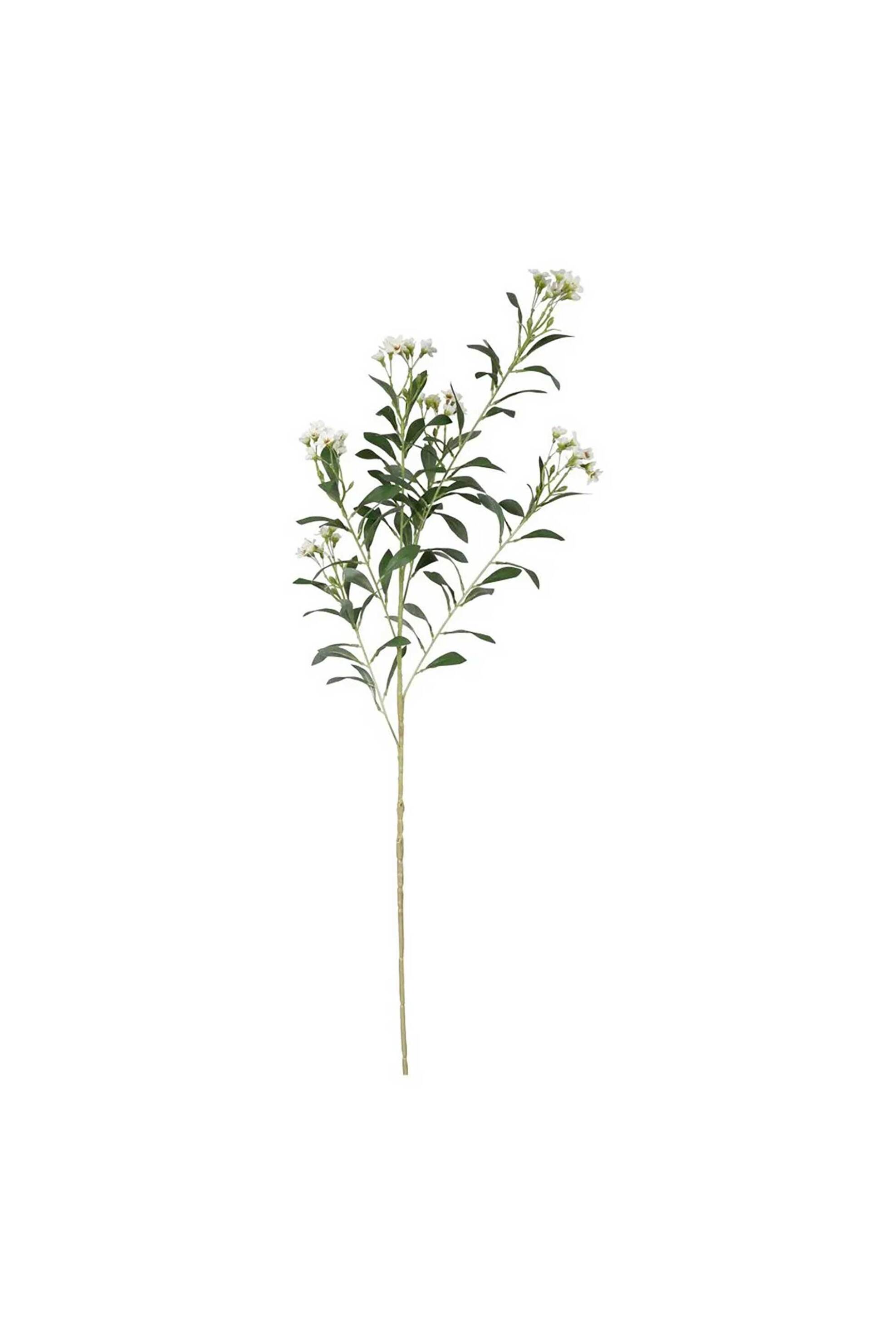 DOMUS HOMUS διακοσμητικό κλαδί με λευκά άνθη 78 cm "Pittosporum - 20-32-232