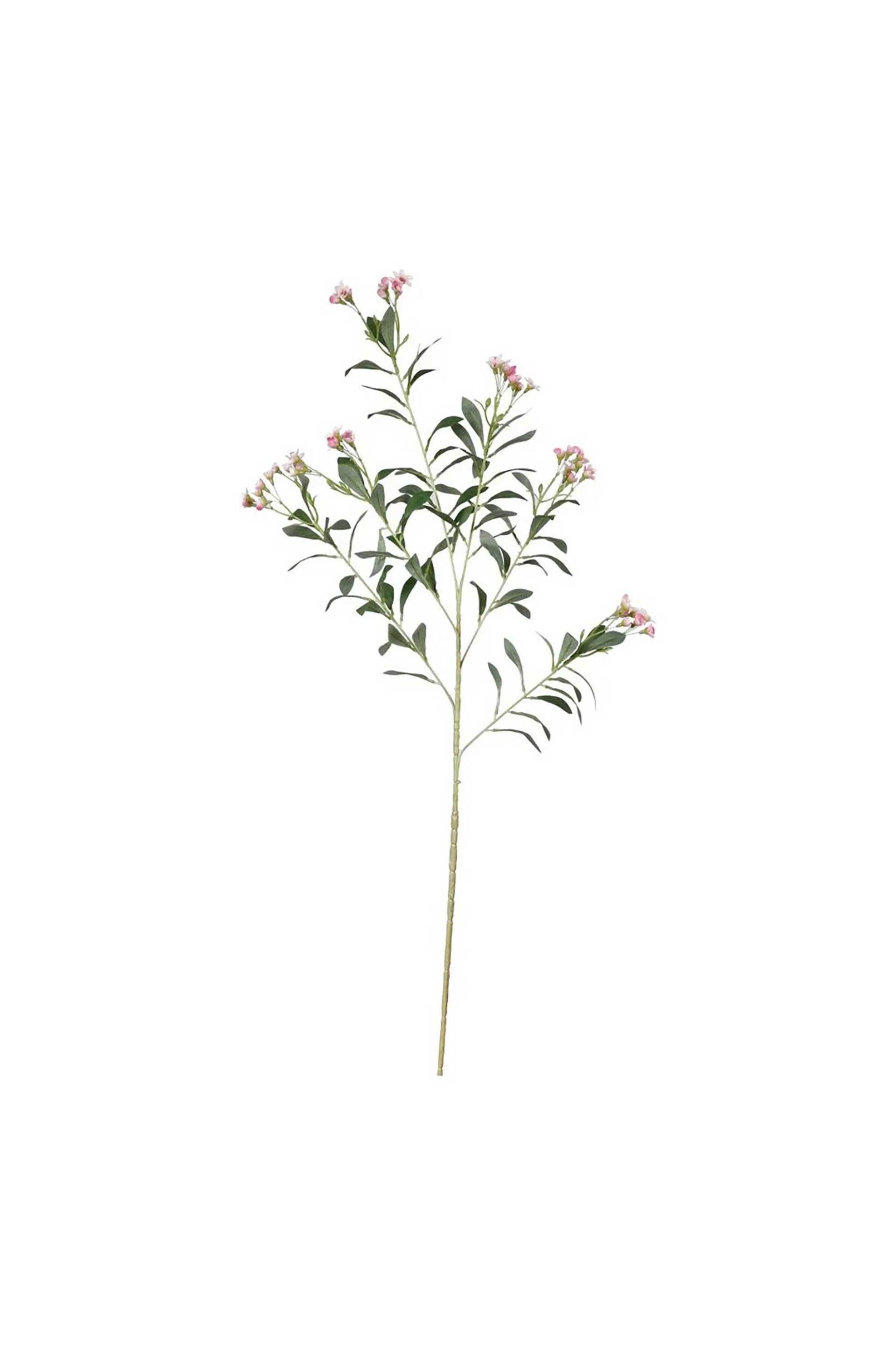 DOMUS HOMUS DOMUS HOMUS διακοσμητικό κλαδί με ροζ άνθη 78 cm "Pittosporum - 20-32-233