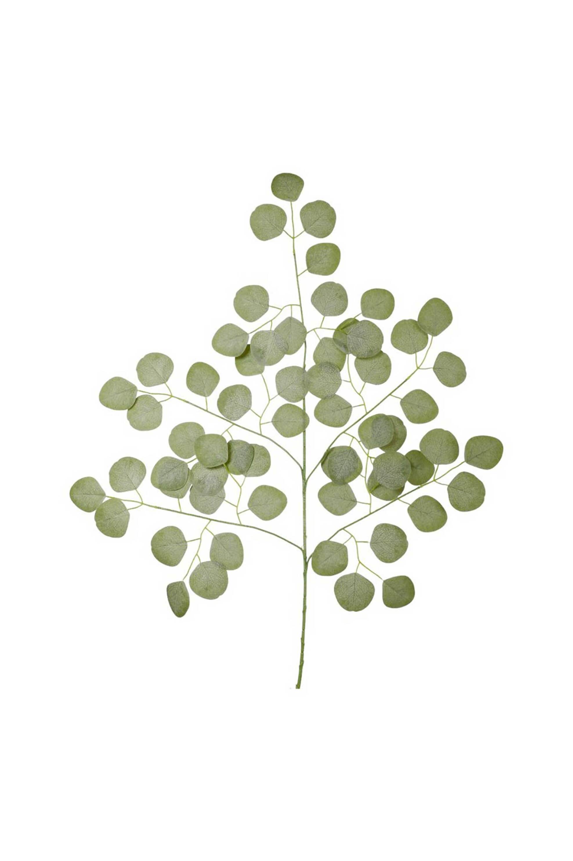 DOMUS HOMUS διακοσμητικό κλαδί ευκάλυπτος 58 cm - 20-32-231