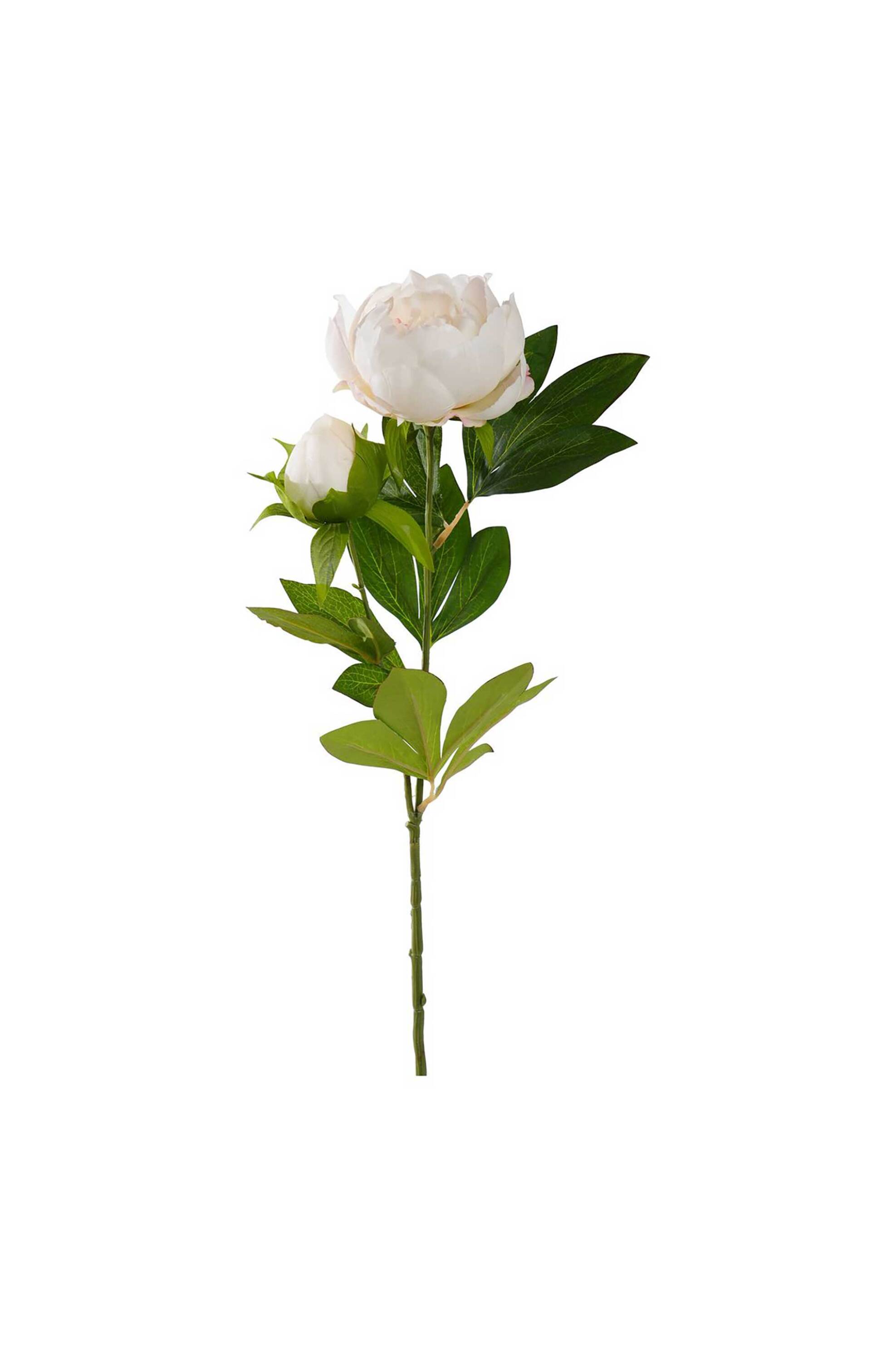 DOMUS HOMUS διακοσμητικό κλαδί παιώνιας 72 cm - 20-31-283