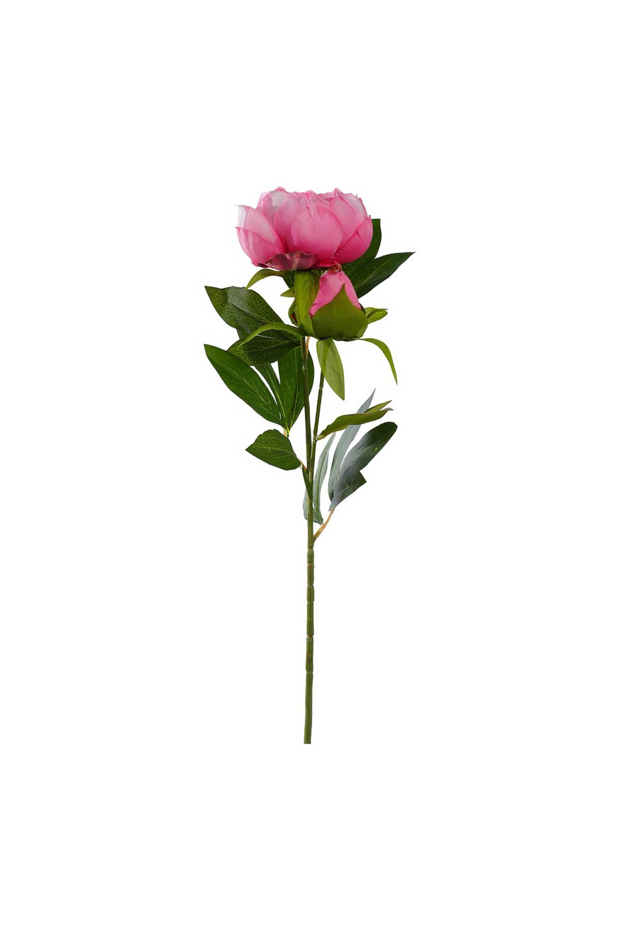 DOMUS HOMUS διακοσμητικό κλαδί παιώνιας 72 cm - 20-31-286