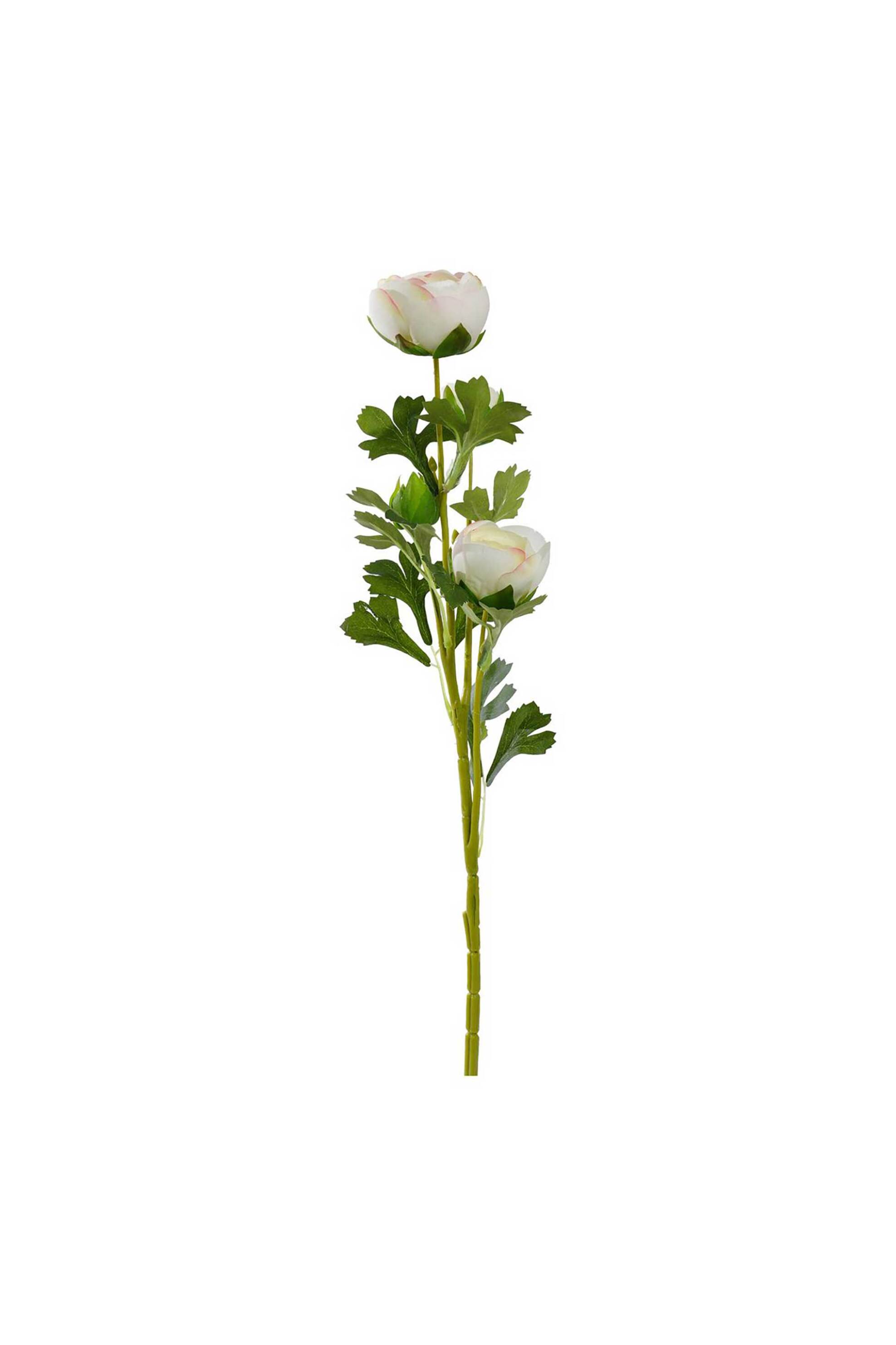DOMUS HOMUS διακοσμητικό κλαδί νεραγκούλας 65 cm - 20-31-287