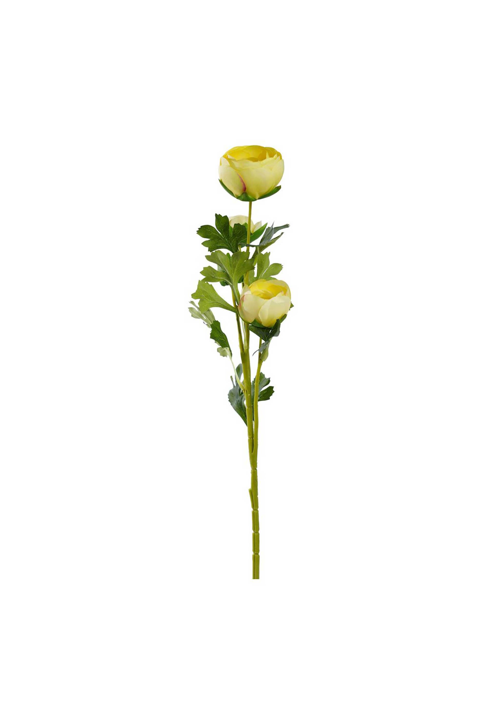 DOMUS HOMUS διακοσμητικό κλαδί νεραγκούλας 65 cm - 20-31-288