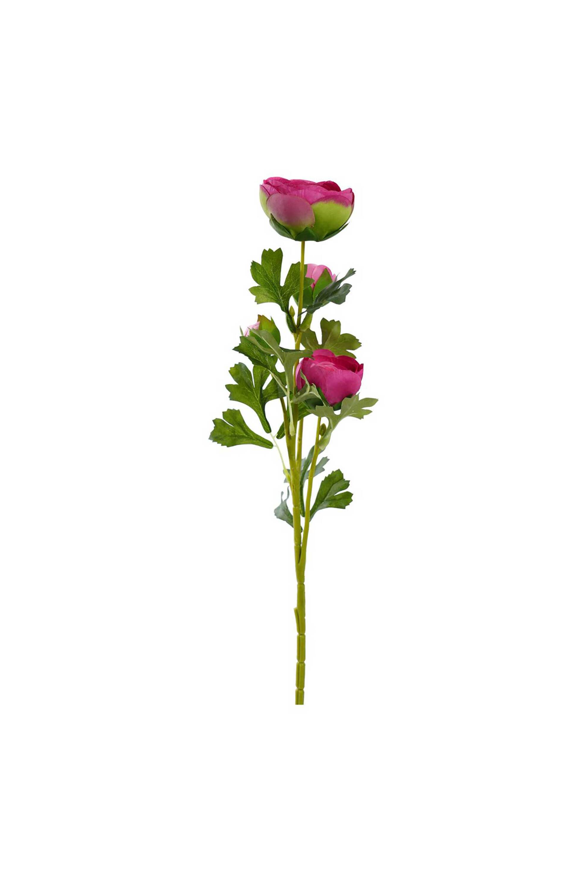 DOMUS HOMUS διακοσμητικό κλαδί νεραγκούλας 65 cm - 20-31-289