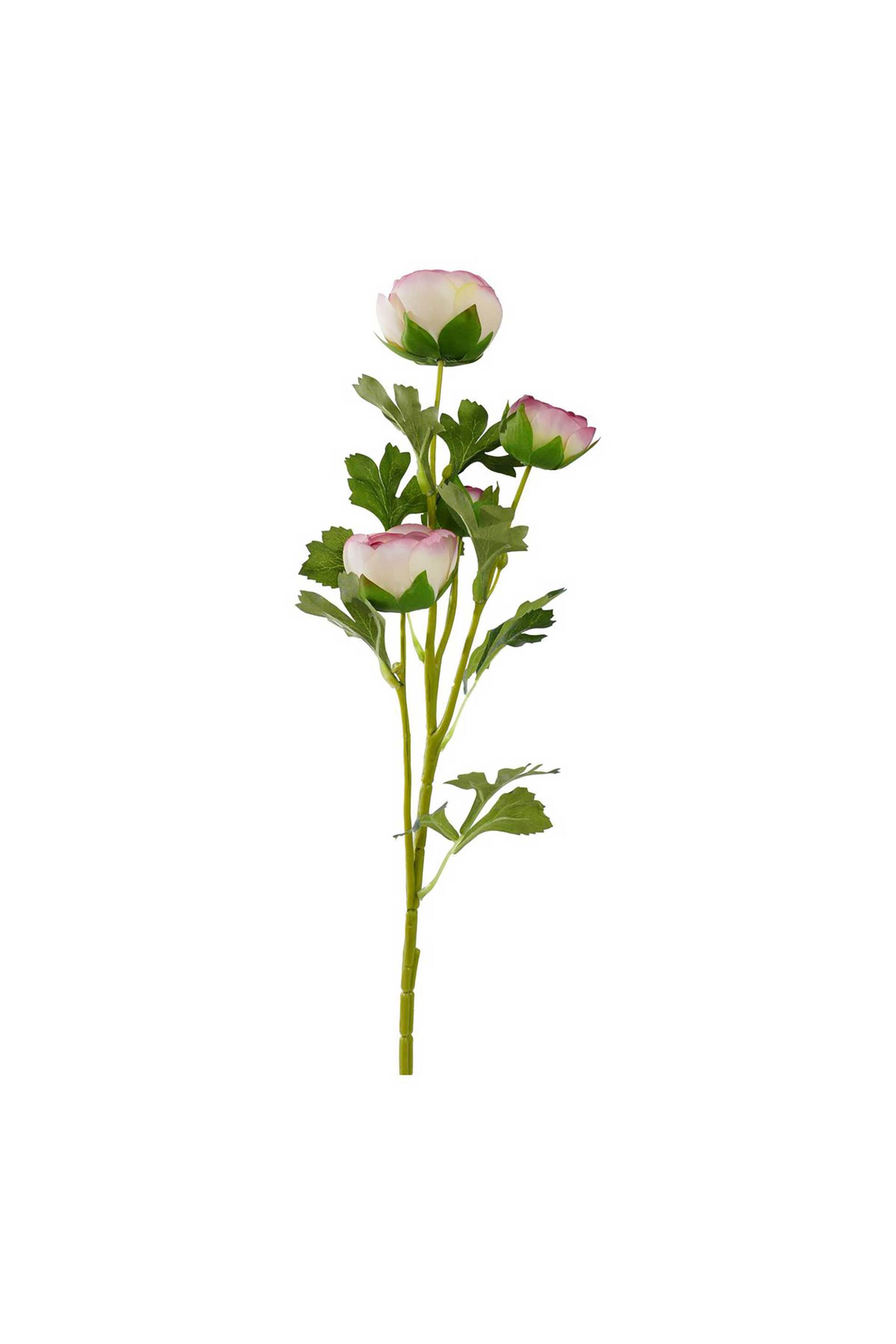 DOMUS HOMUS διακοσμητικό κλαδί νεραγκούλας 65 cm - 20-31-290
