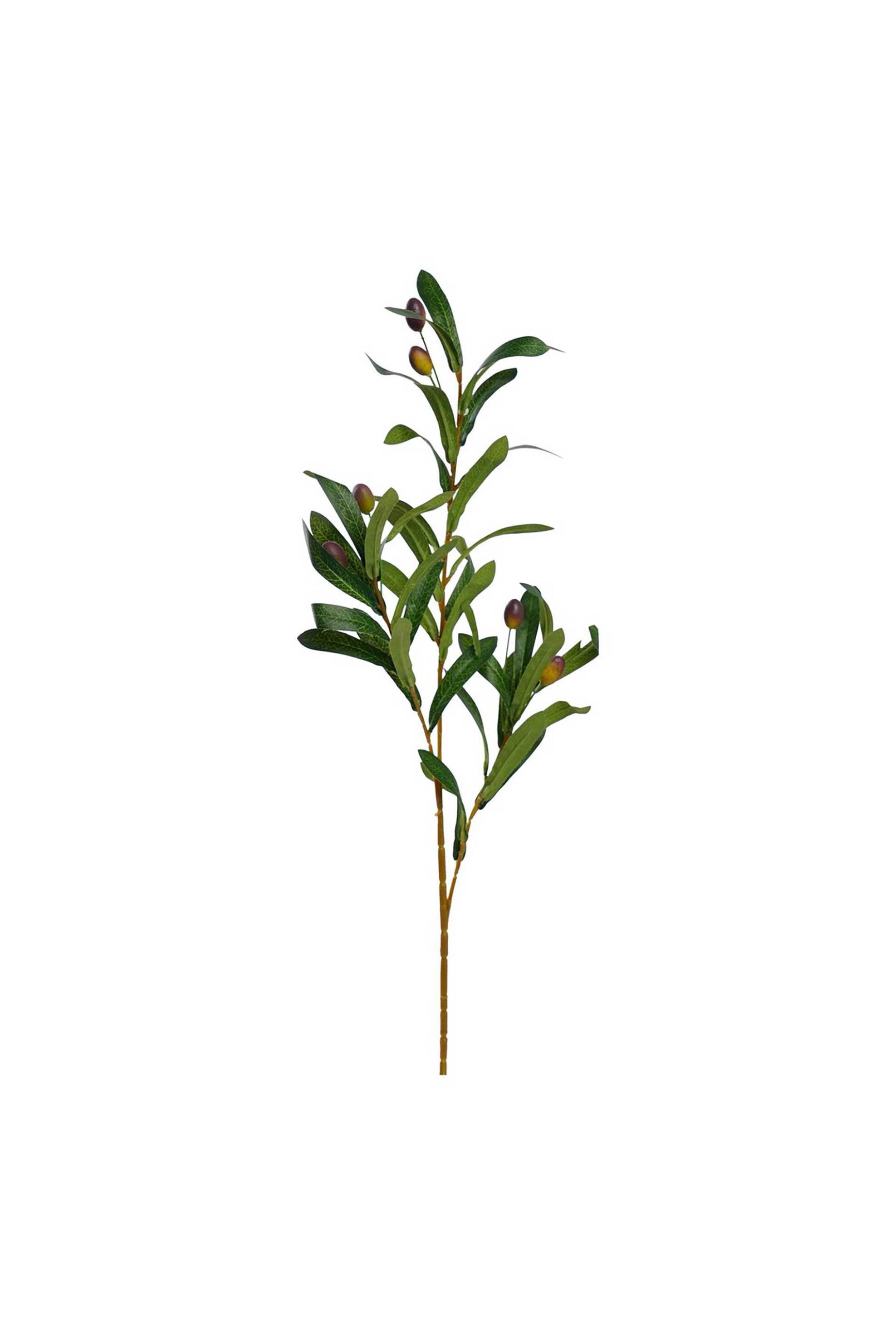 DOMUS HOMUS διακοσμητικό κλαδί ελιάς 70 cm - 20-31-291