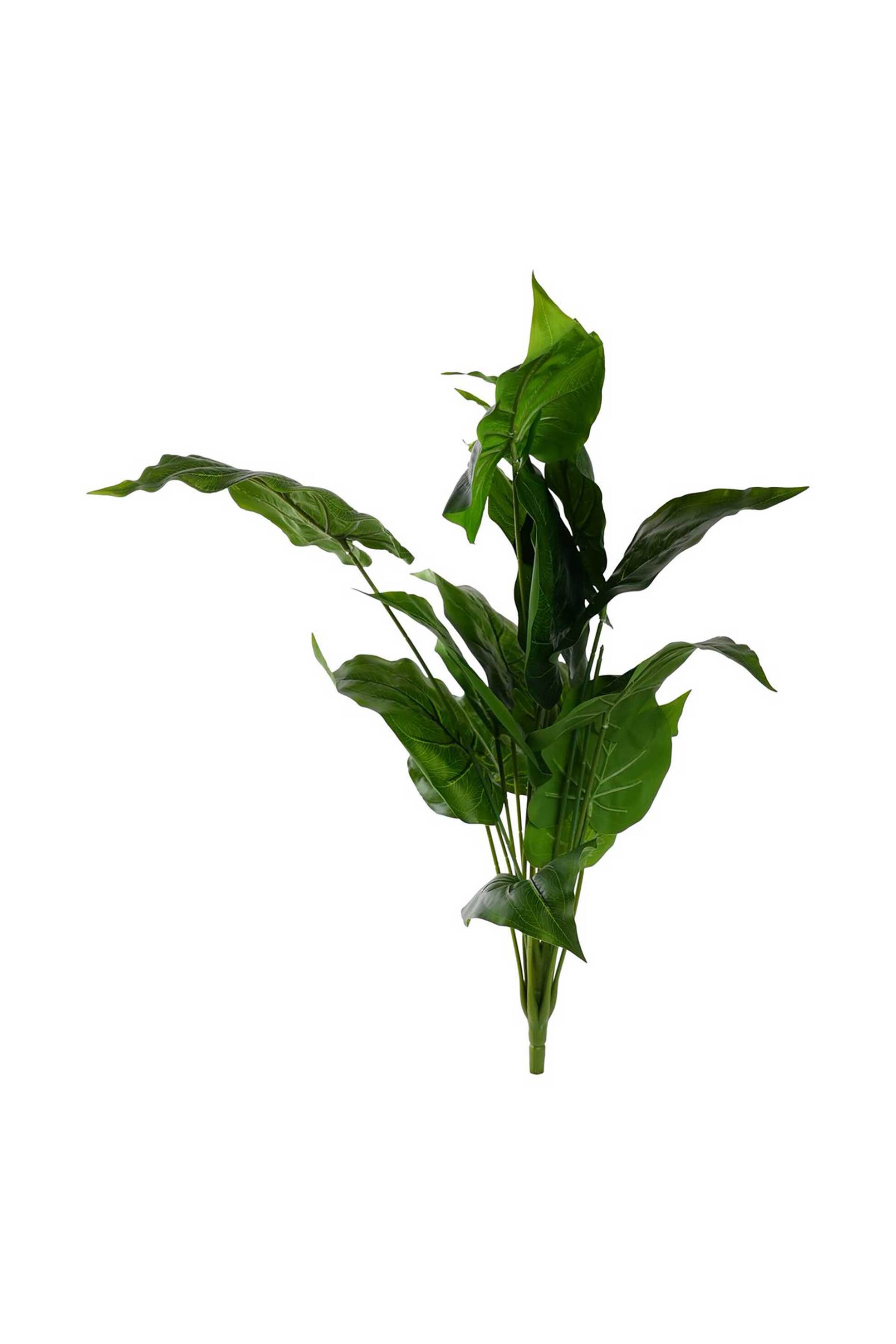 DOMUS HOMUS τεχνητό φυτό αλοκάσια 65 cm - 20-31-297