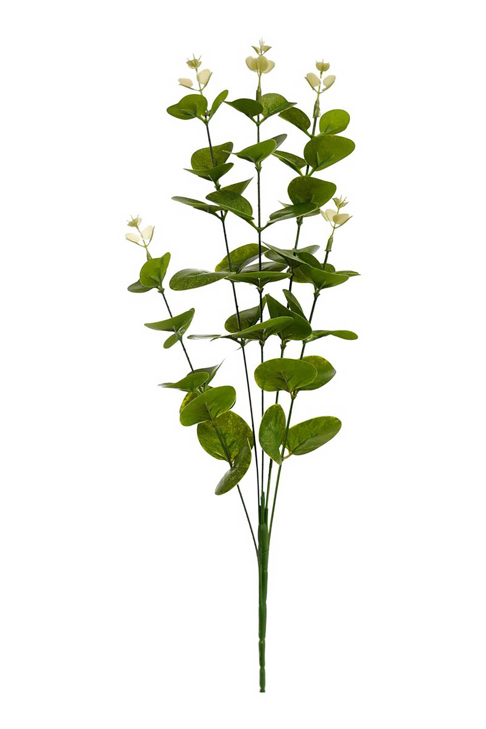 DOMUS HOMUS διακοσμητικό κλαδί ευκάλυπτος 62 cm - 20-31-257
