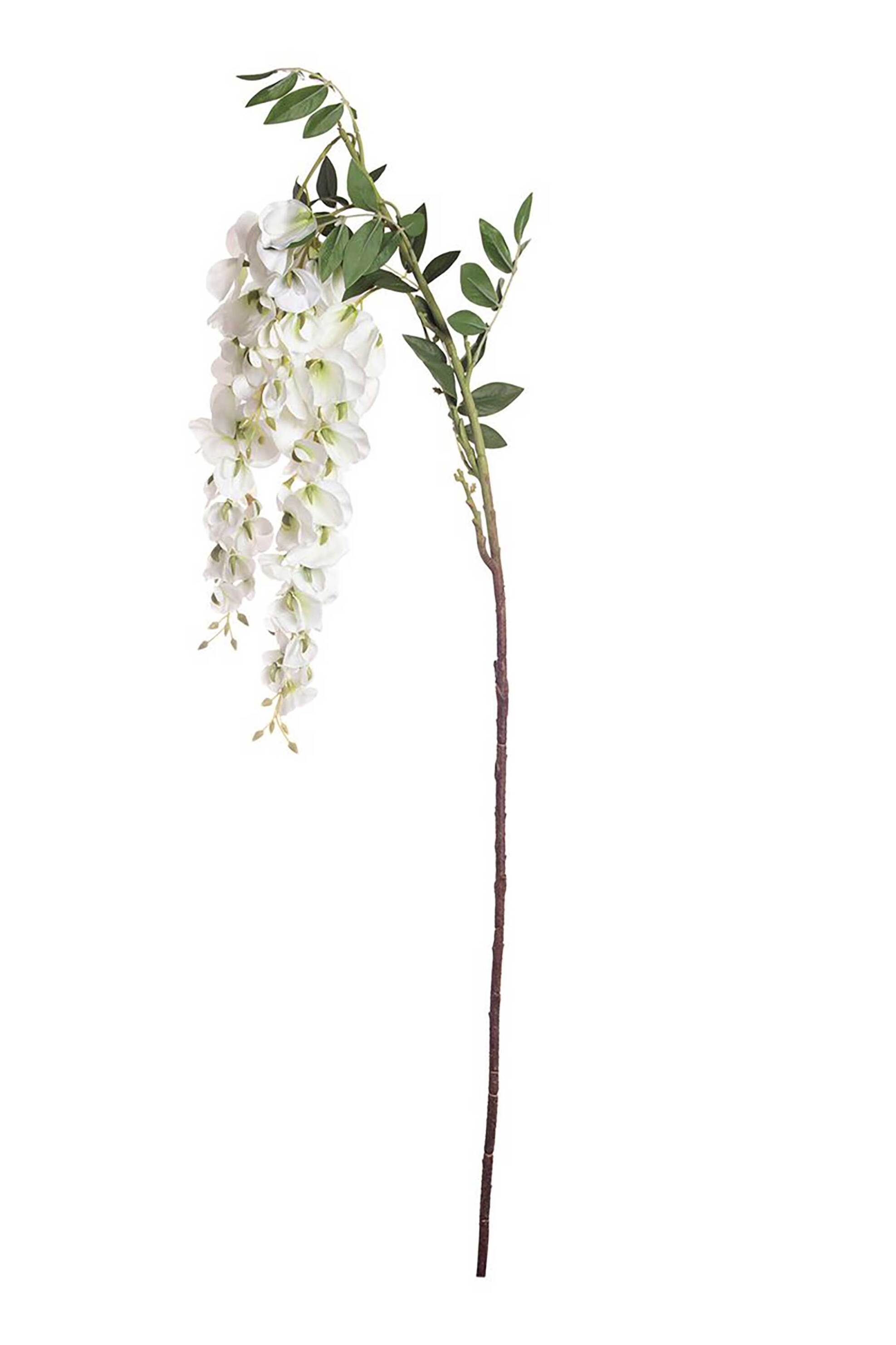 DOMUS HOMUS διακοσμητικό κλαδί γλυτζίνας 140 cm - 20-31-272